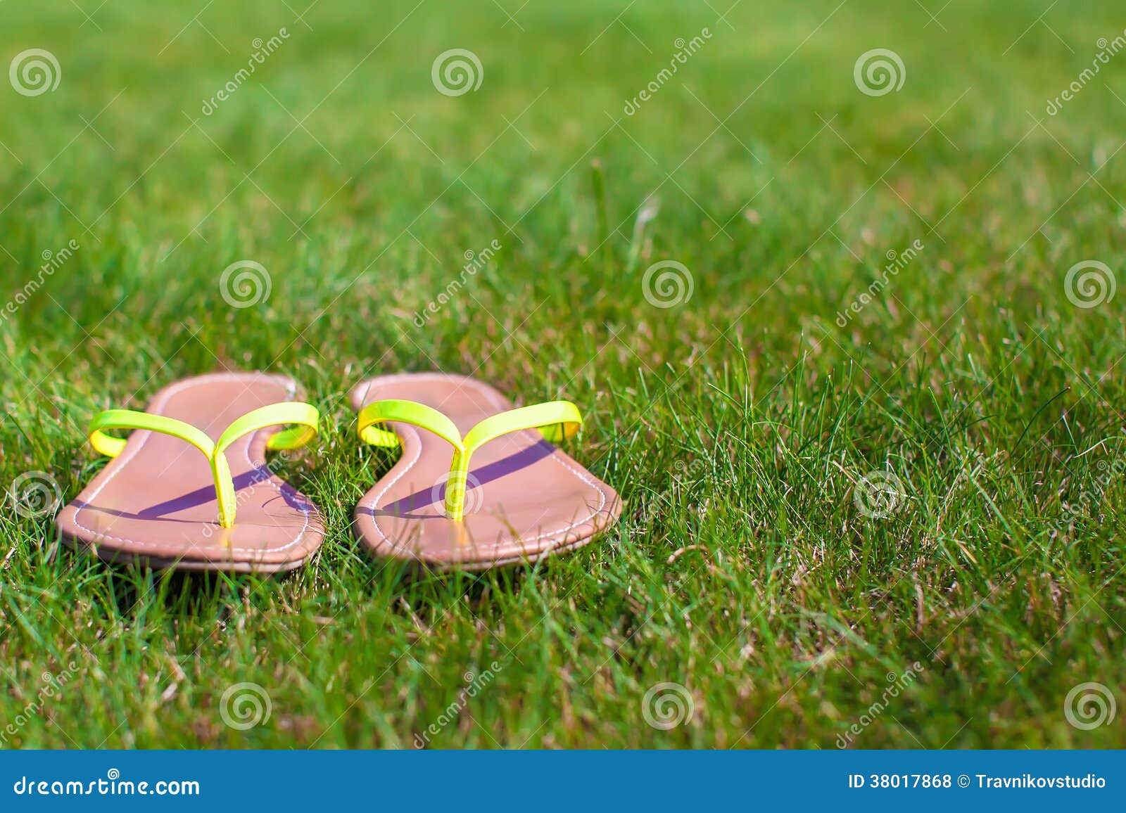 Closeup of Bright Flip Flops on Green Grass Stock Photo - Image of ...