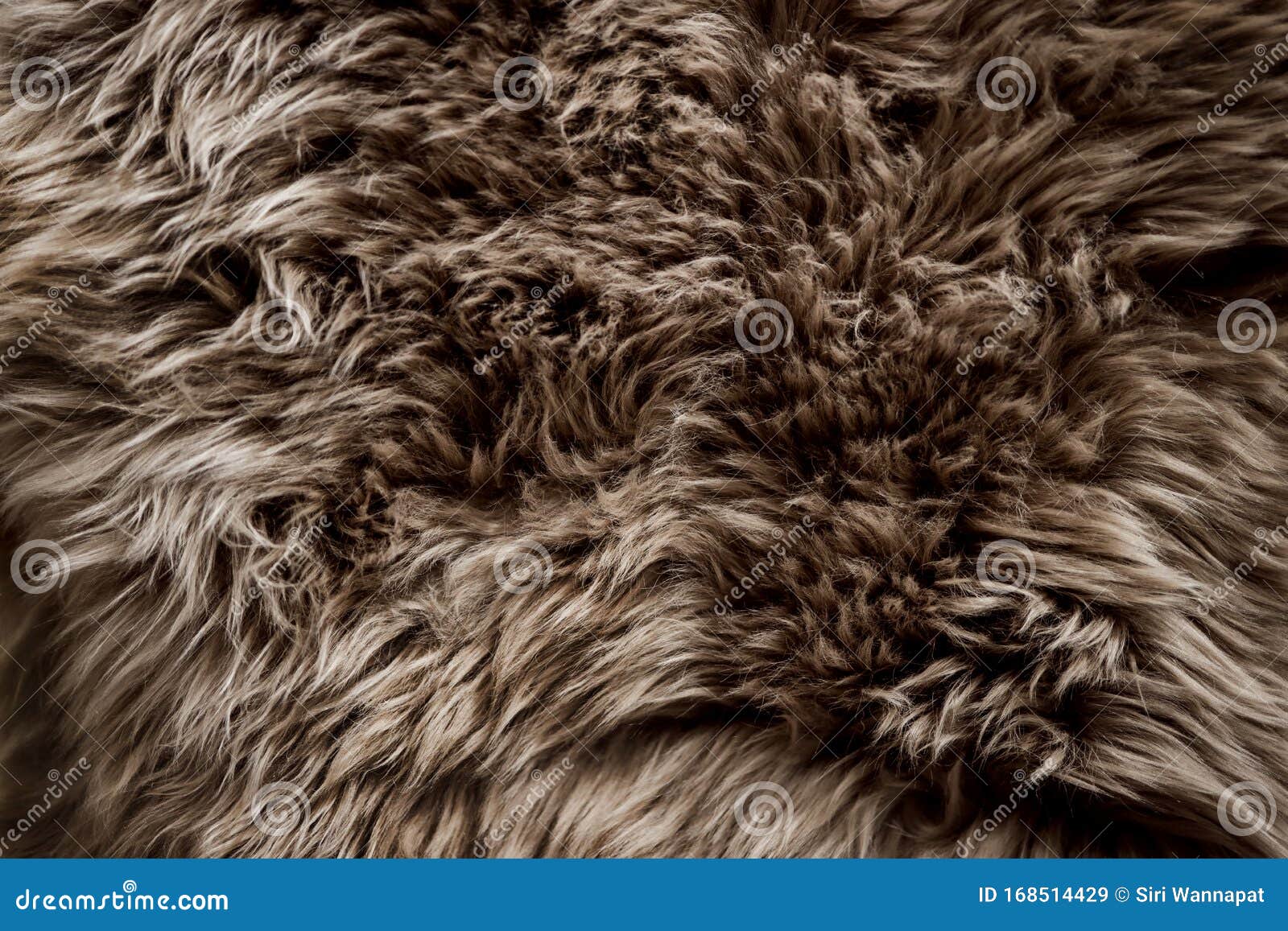 of Brown Fur Texture. Smooth Fluffy and Softness Stock Image - Image of lamb, real: 168514429