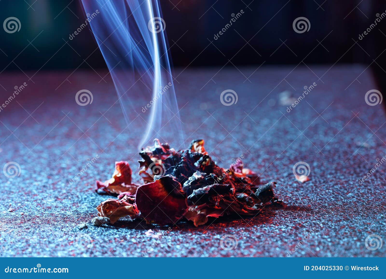 Closeup of Burn Rose Petals with a Rising Smoke Stock Photo Image of relaxation, closeup