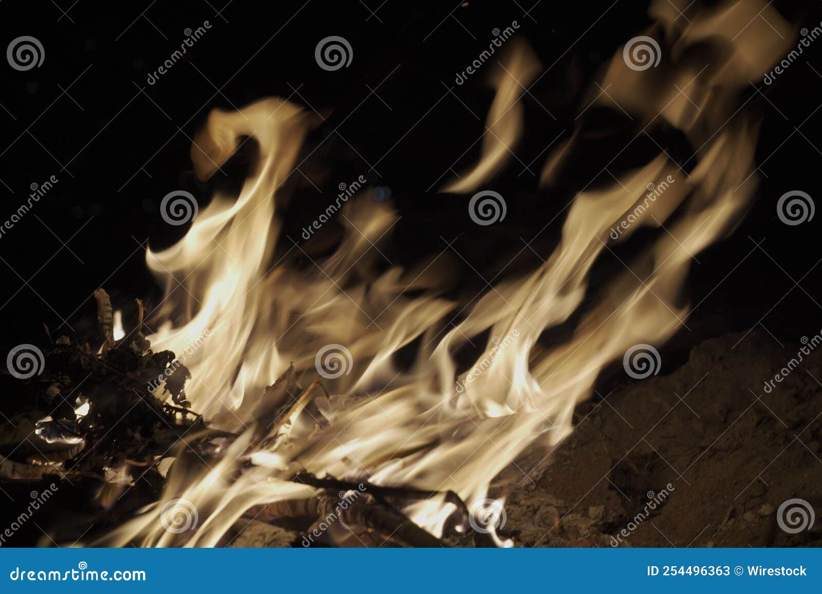 Closeup of Burning Fire with Woods Stock Image Image of blazing, fire 254496363