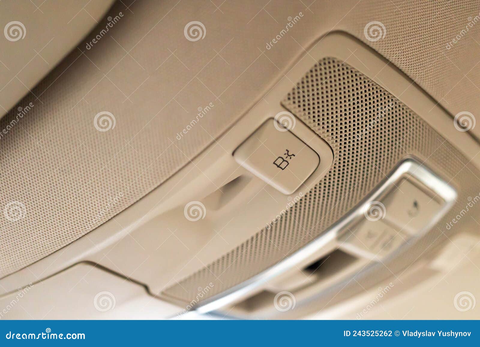 Closeup of Cabin Lights Switch in Car, Light Control Panel Inside a