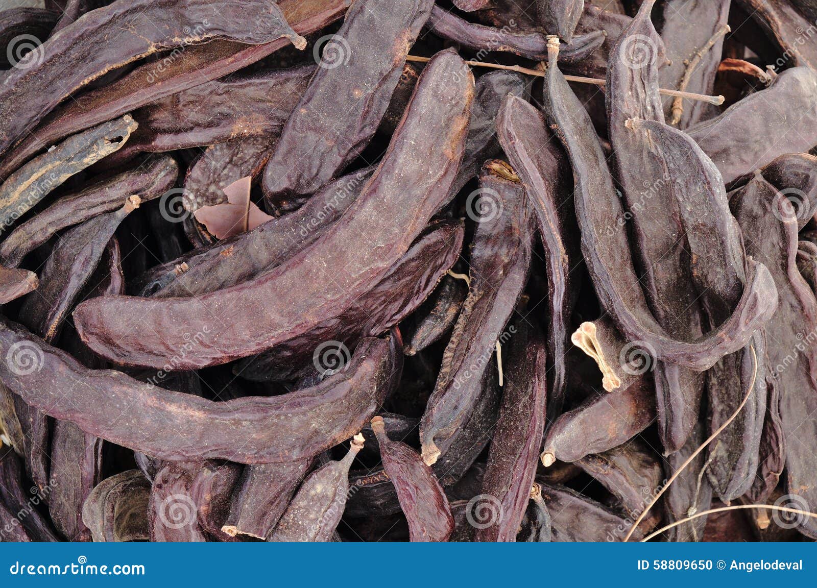 Closeup of Carobs in a Sack Stock Photo Image of nature, beans 58809650