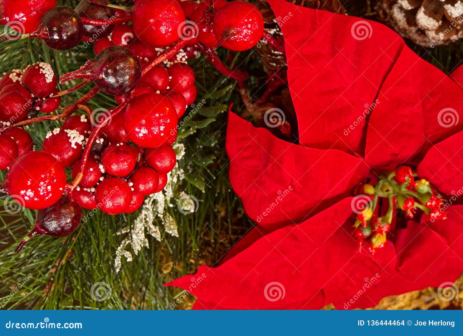 A Closeup of Christmas Decorations with Greenery, Poinsettias, and Red ...