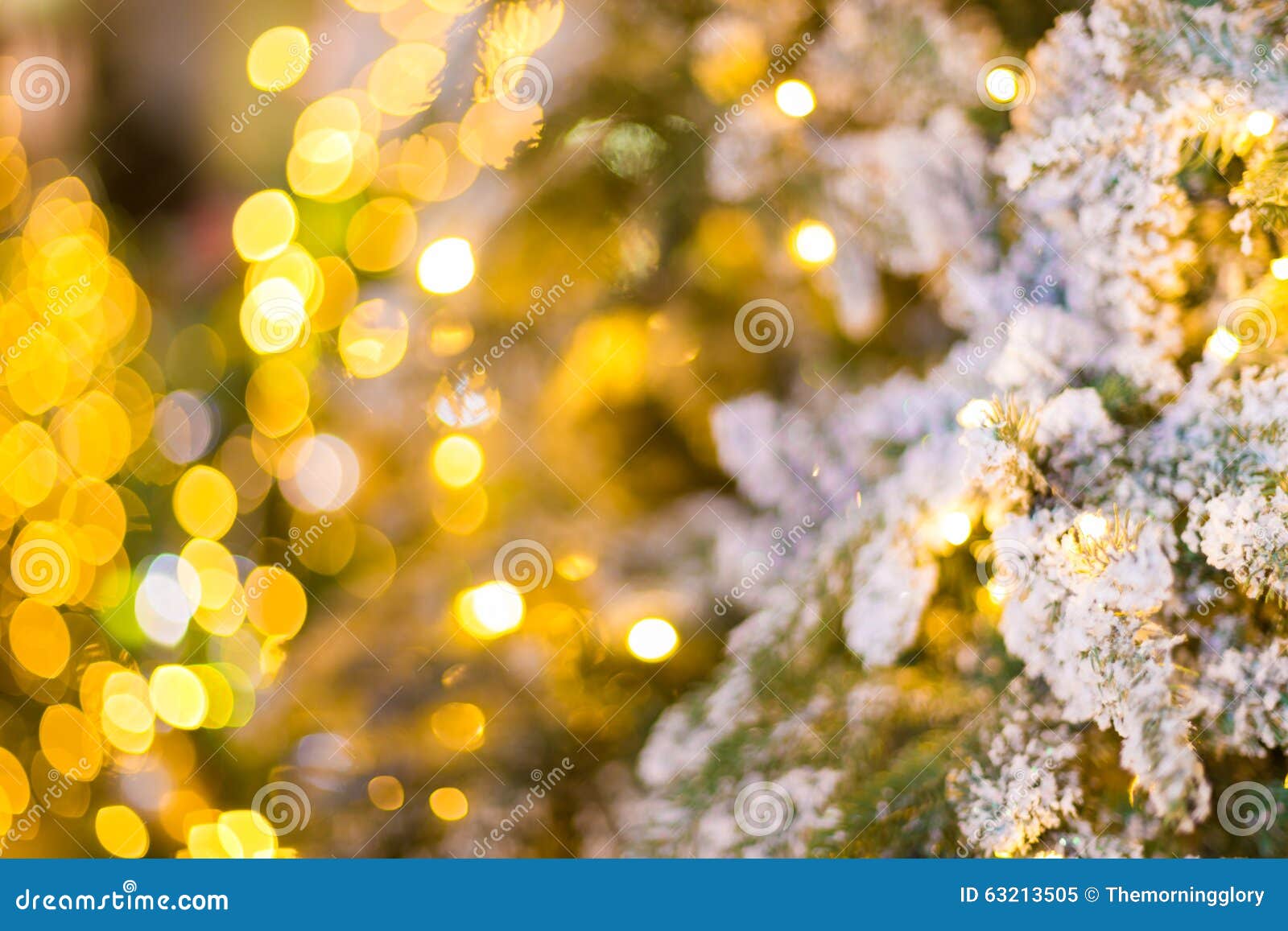 Closeup of Christmas Tree at Night Stock Image Image of branch