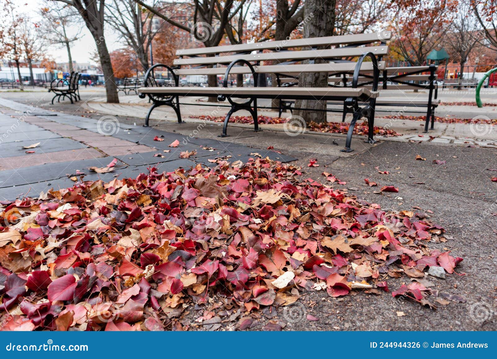 colorful leaves on the ground during autumn in front of a park bench at hoyt playground in astoria queens new york