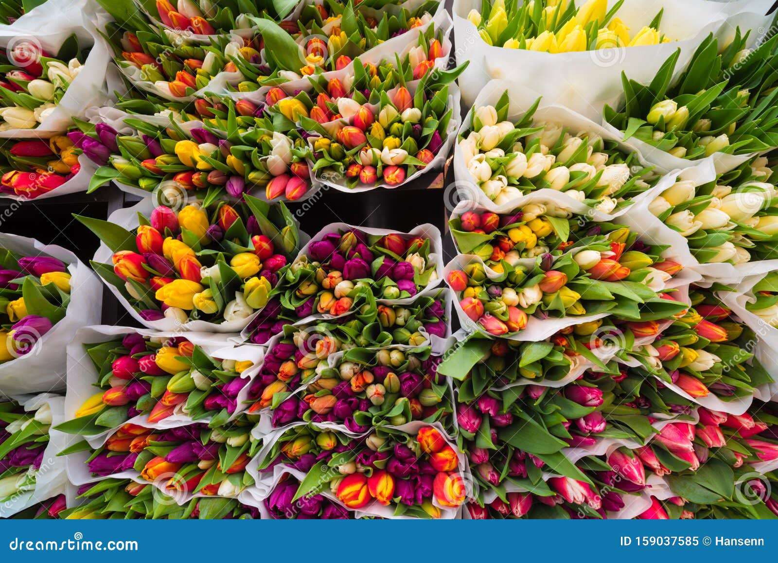 Tulips at an auction stock image. Image of fresh, counter 159037585