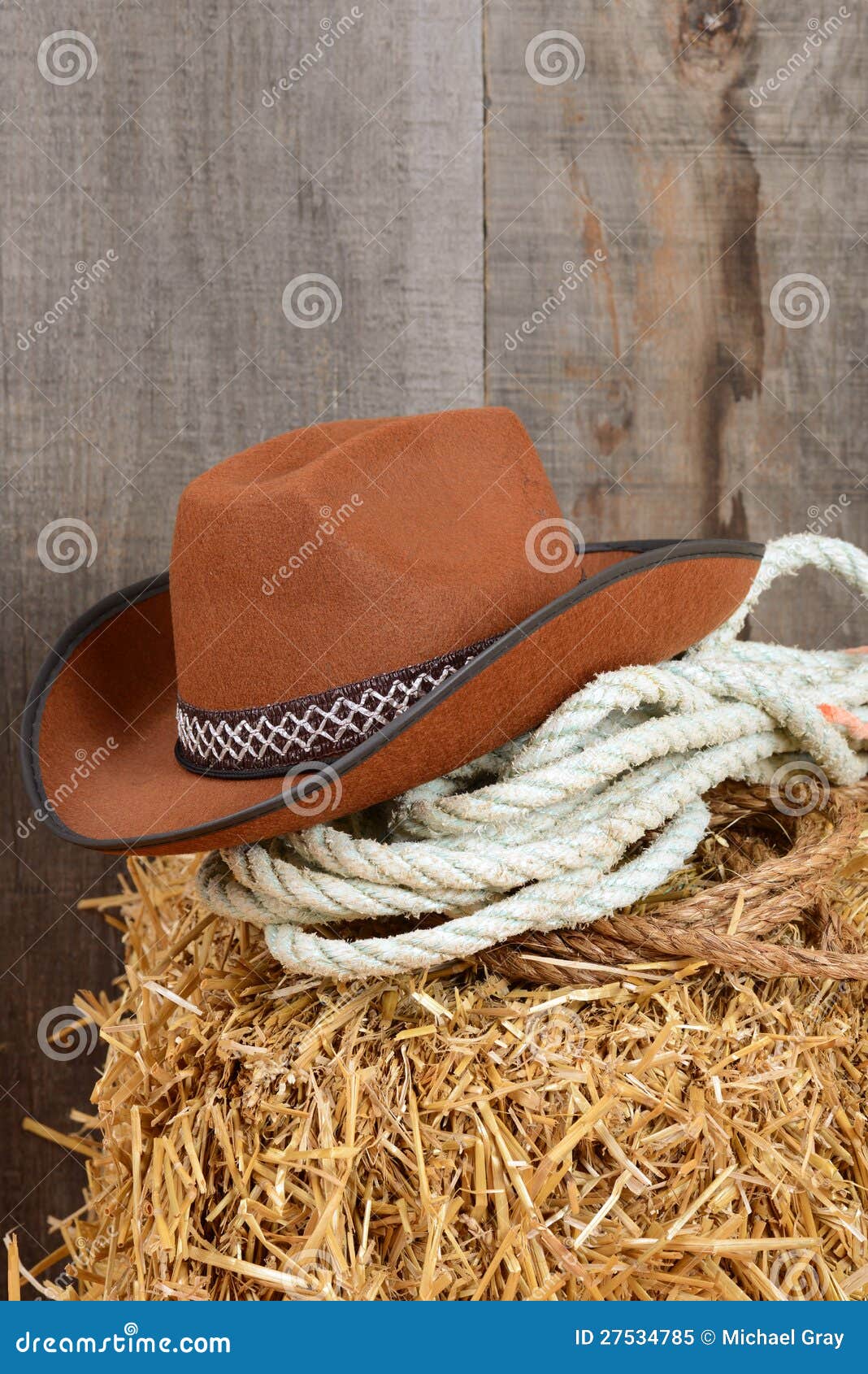 Closeup Cowboy Hat and Ropes Stock Image Image of closeup, string 27534785