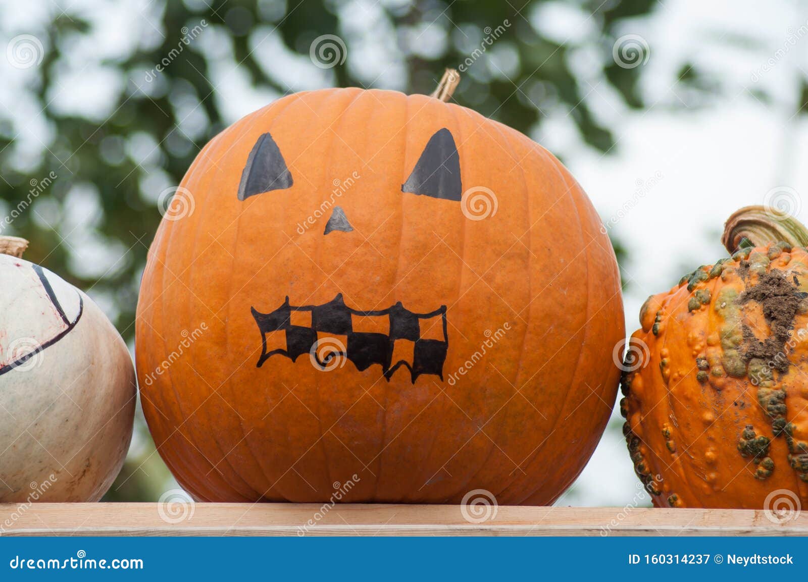 decoratives pumkins in the garden