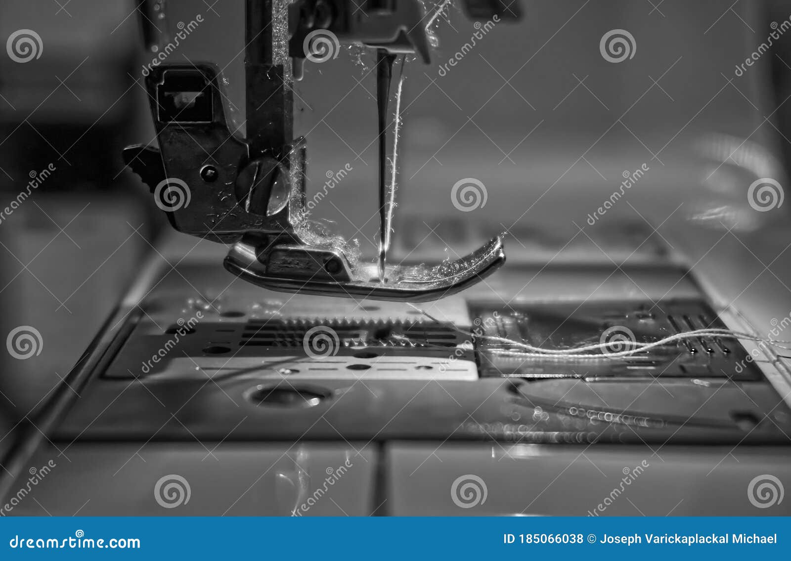 Closeup of a Domestic Sewing Machine Needle and Thread Stock Photo
