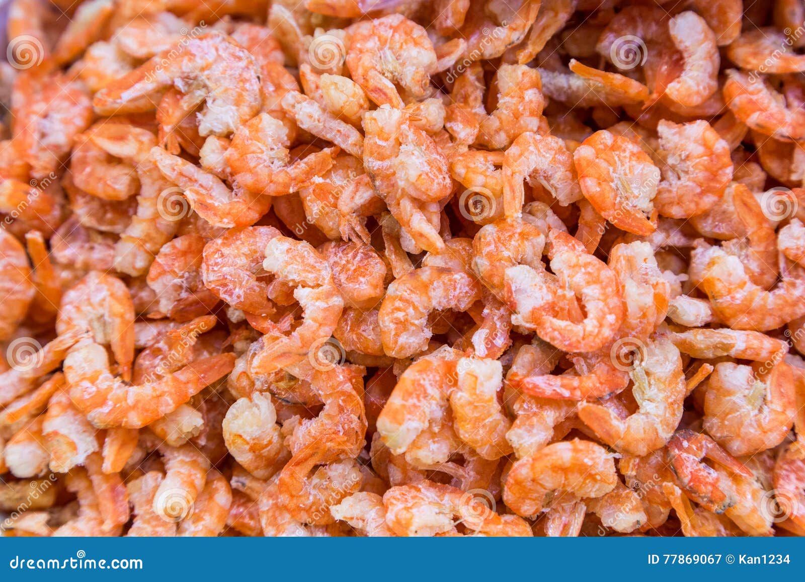 Closeup dried shrimp stock image. Image of closeup, dried 77869067