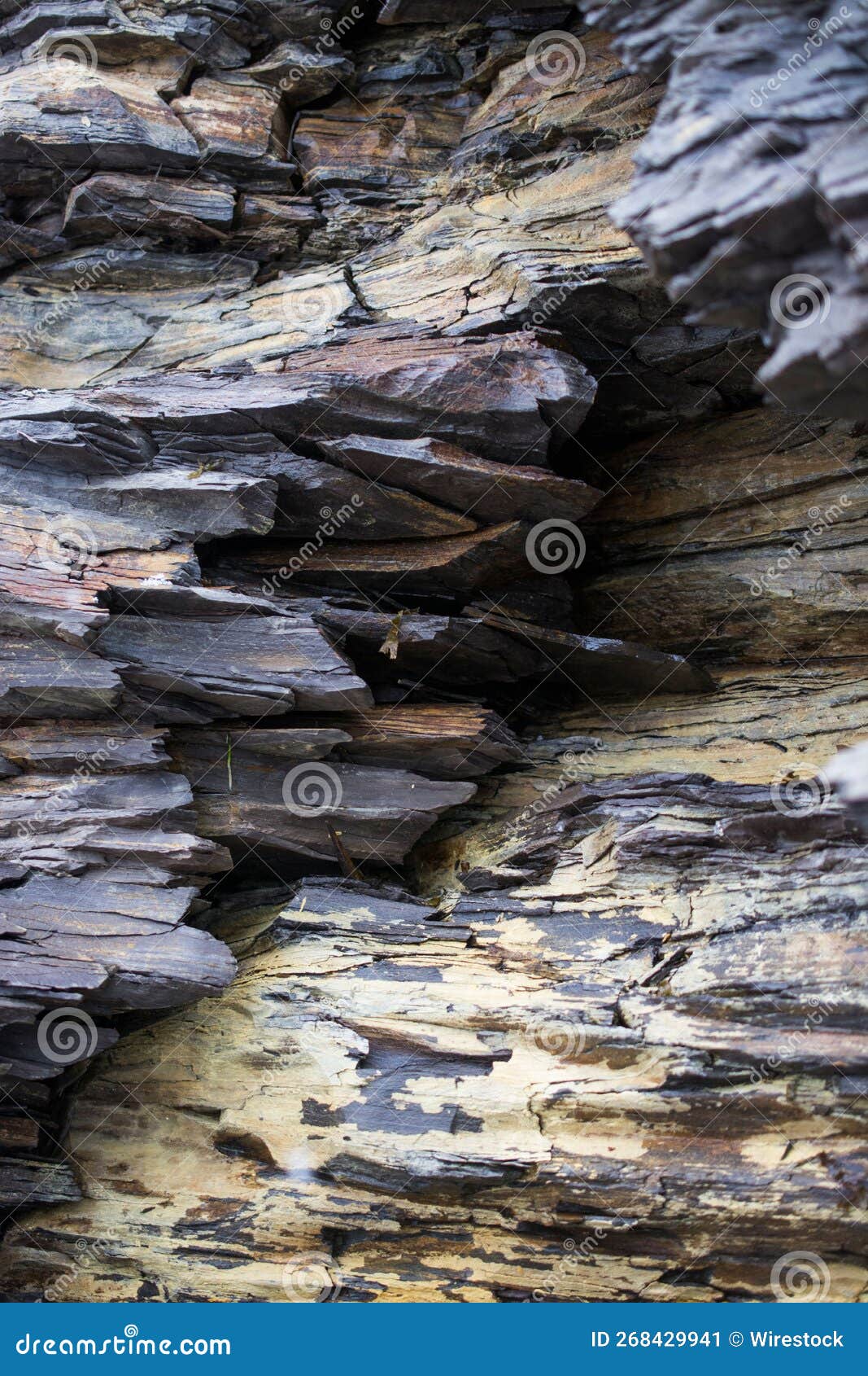 Closeup of dry rock layers stock image. Image of nature 268429941
