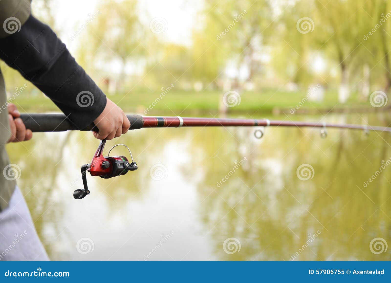 Closeup of Fisherman`s Hand Holding Rod with Spinning Stock Image - Image  of equipment, active: 57906755