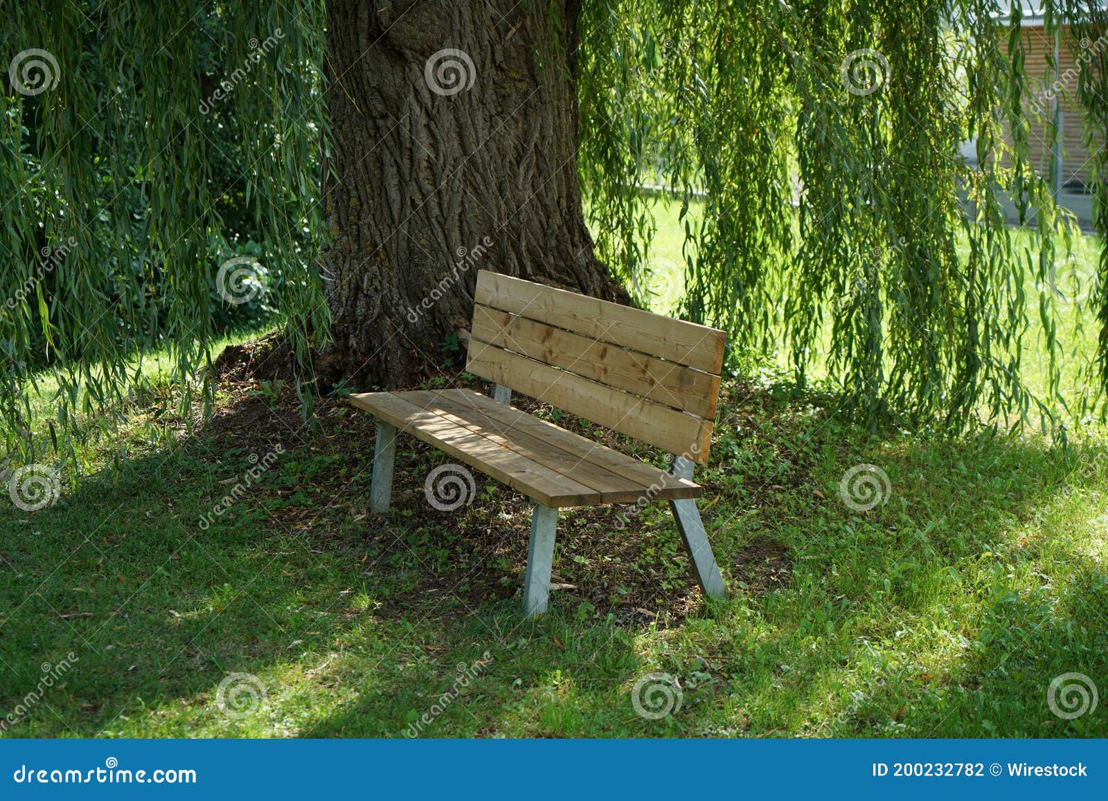 Closeup Focus Shot of a Wooden Bench Under a Tree Stock Photo Image