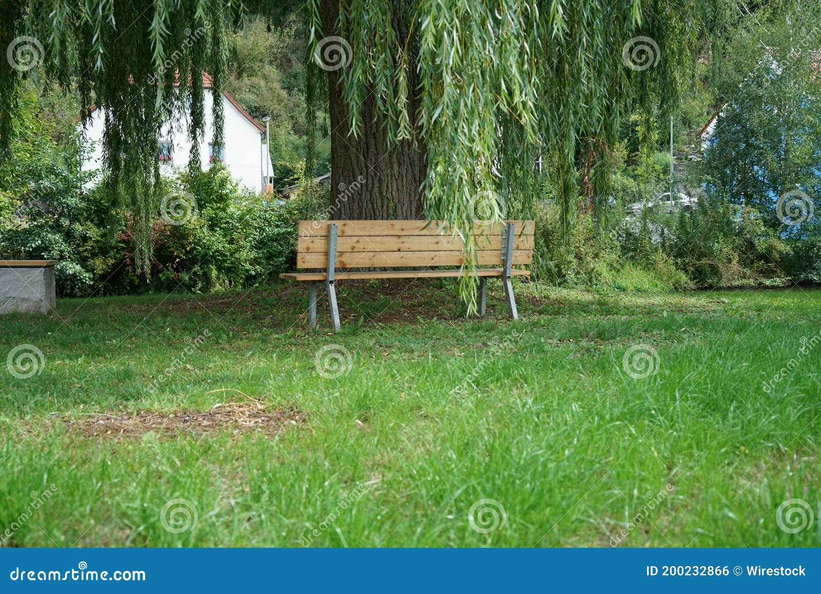 Closeup Focus Shot of a Wooden Bench Under a Tree Stock Photo Image