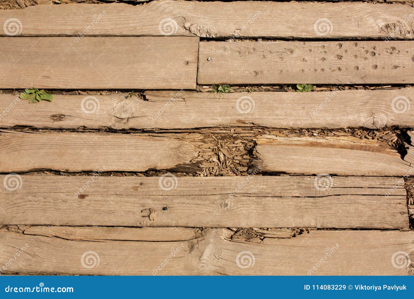 Closeup Fragment Of Cracked Wood Floor With Nails And Holes Stock