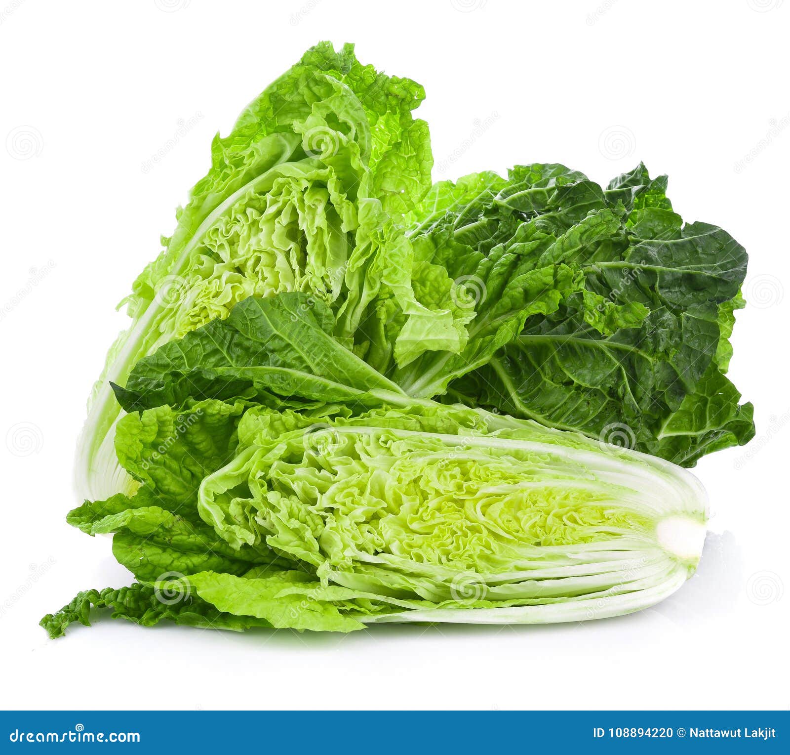 Fresh Chinese Cabbage on a White Background Stock Photo Image of