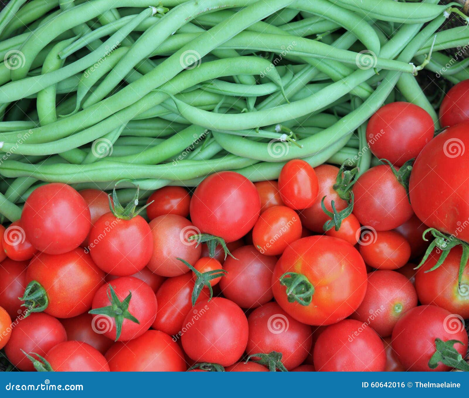 Closeup of Fresh Green Beans and Tomatoes Stock Photo Image of