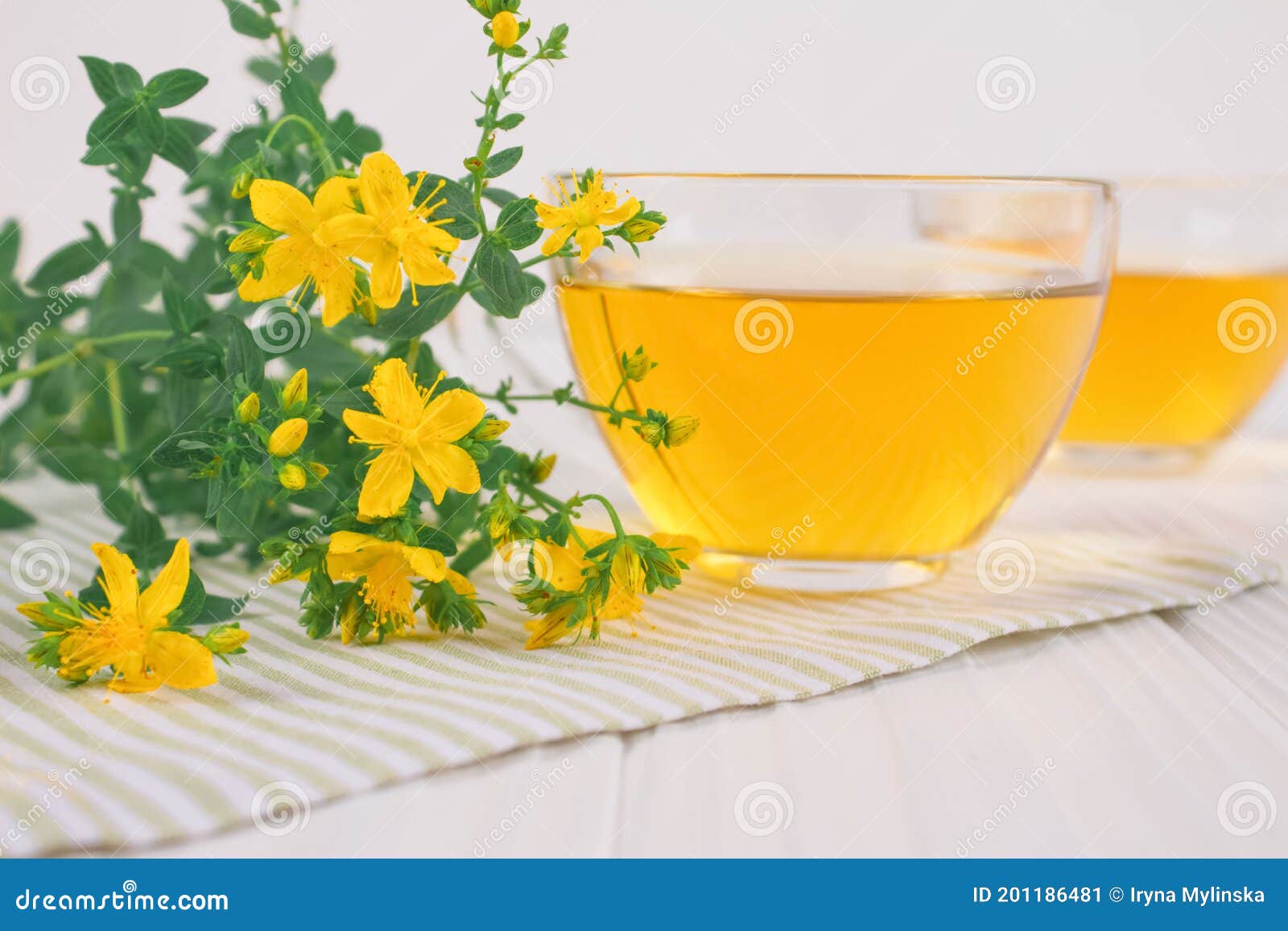 closeup of fresh herbal tea in transparent cups and hypericum flowers on white table. alternative medicine, herbalism