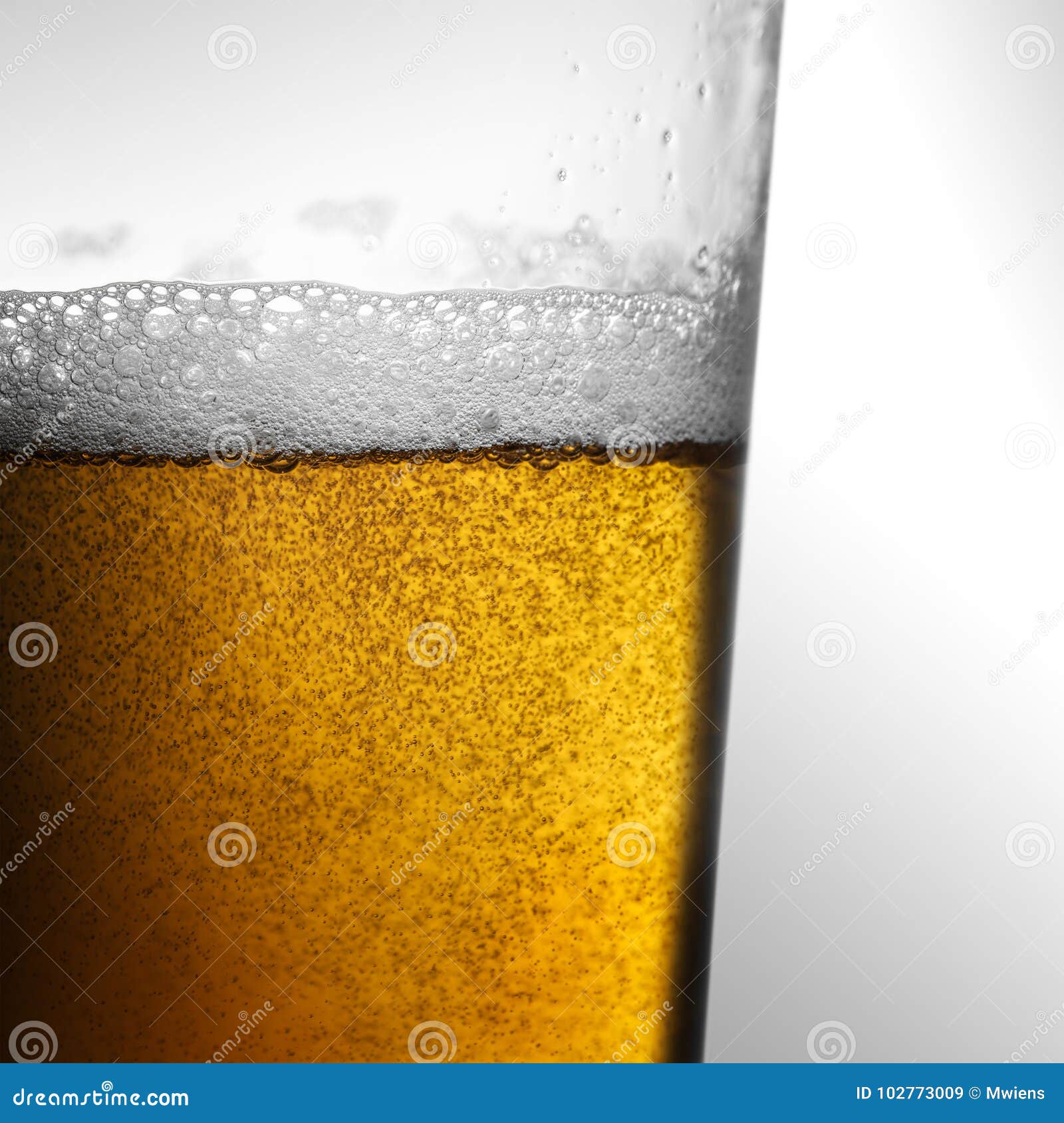 closeup of freshly poured glass of beer with frothy head and bubbles