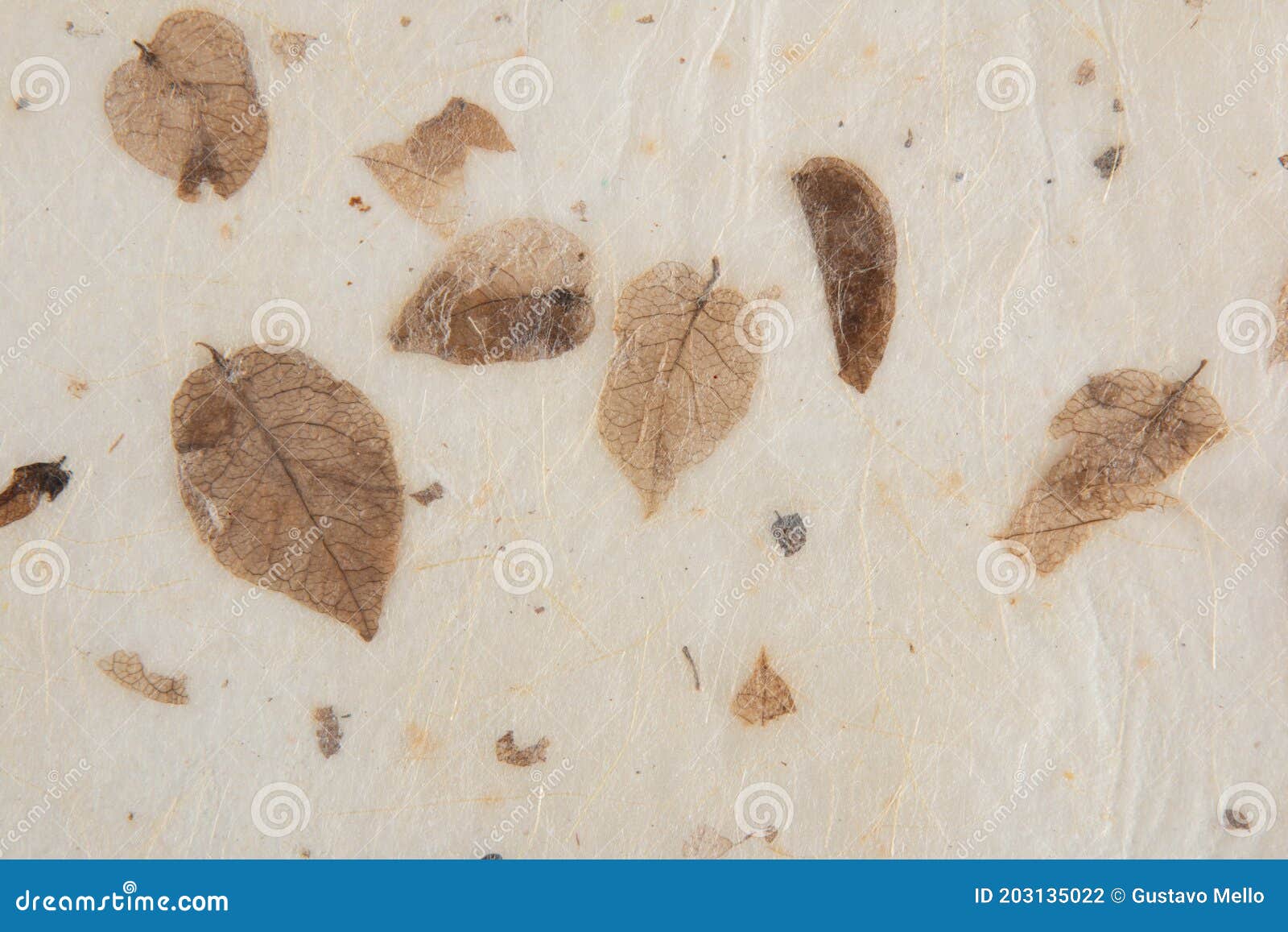 closeup of handmade paper texture vintage background with leaf
