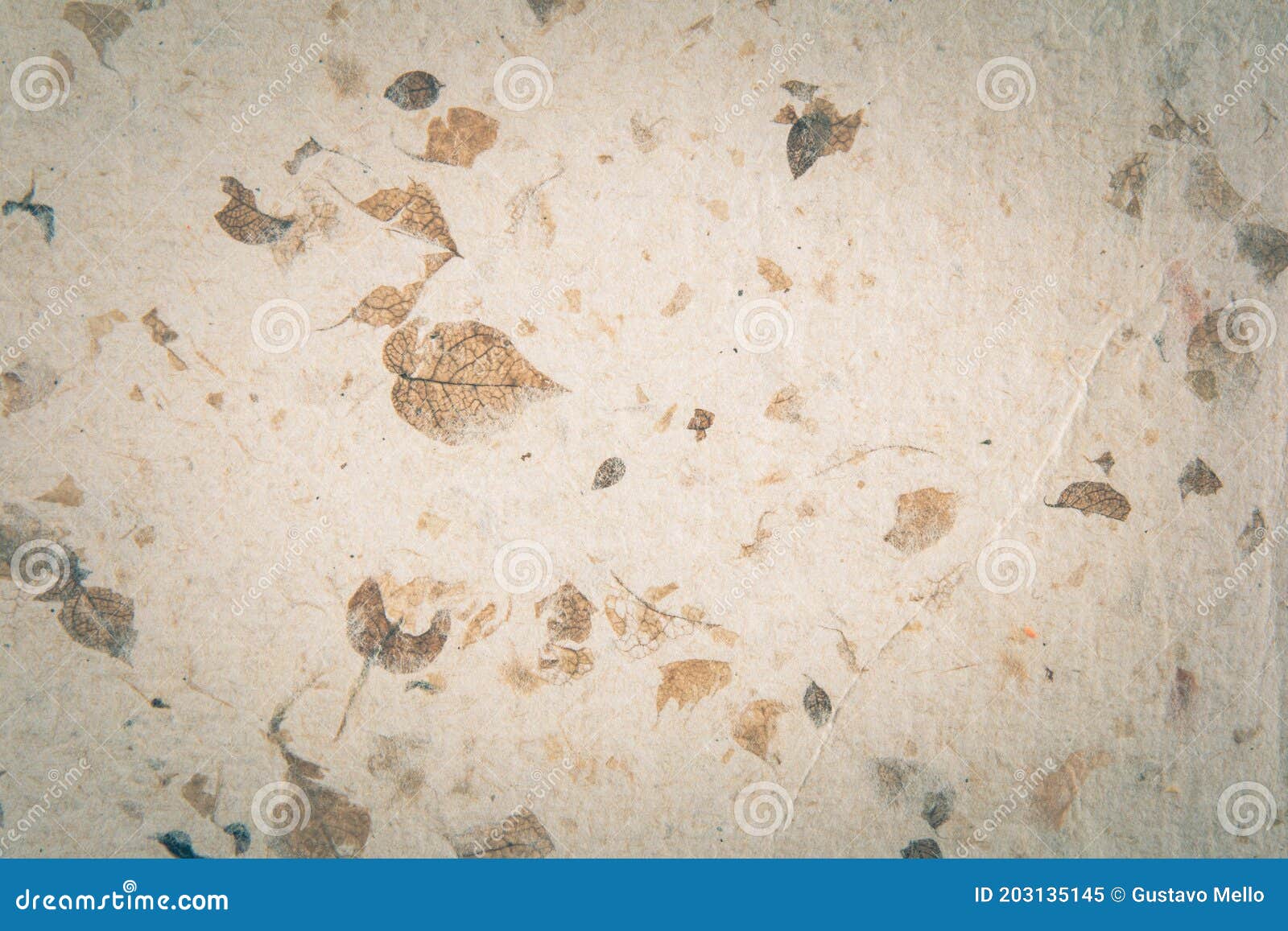 closeup of handmade paper texture vintage background with leaf