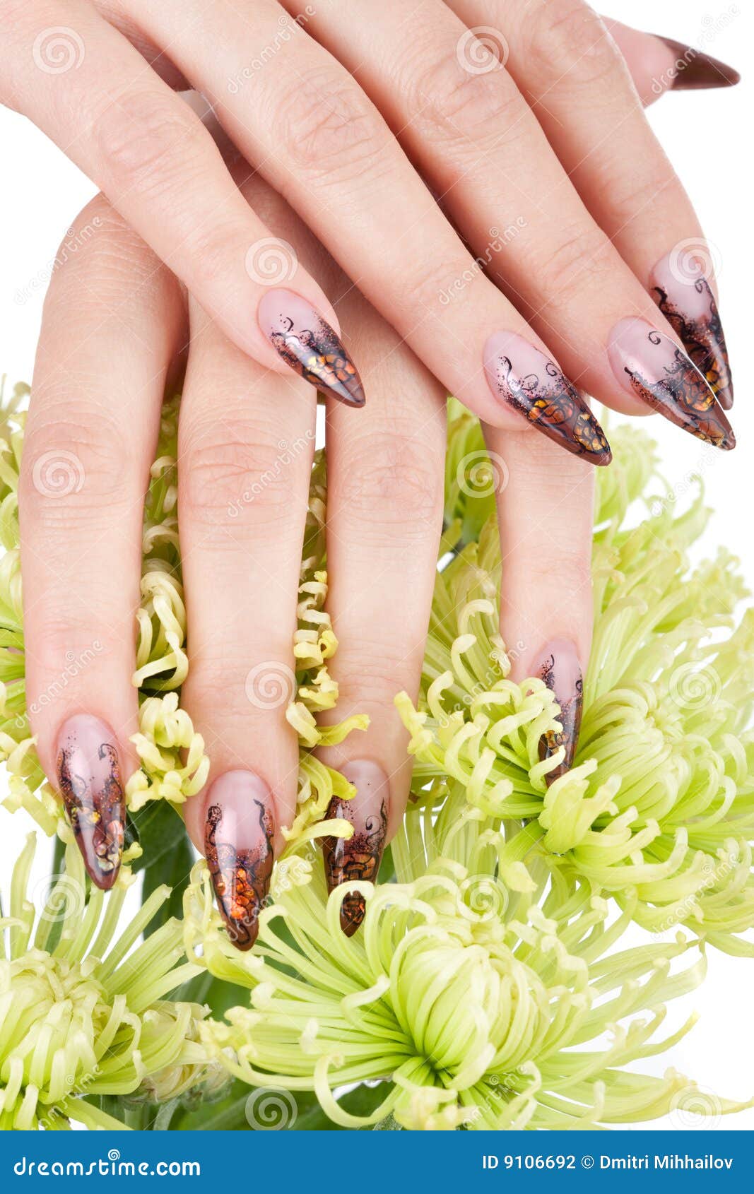 Closeup Image of Beautiful Nails Stock Photo Image of fingernails
