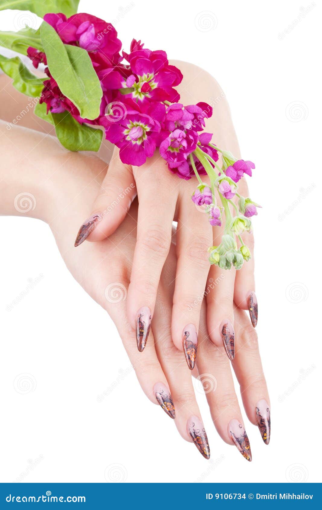 Closeup Image of Beautiful Nails Stock Photo Image of nail, purity