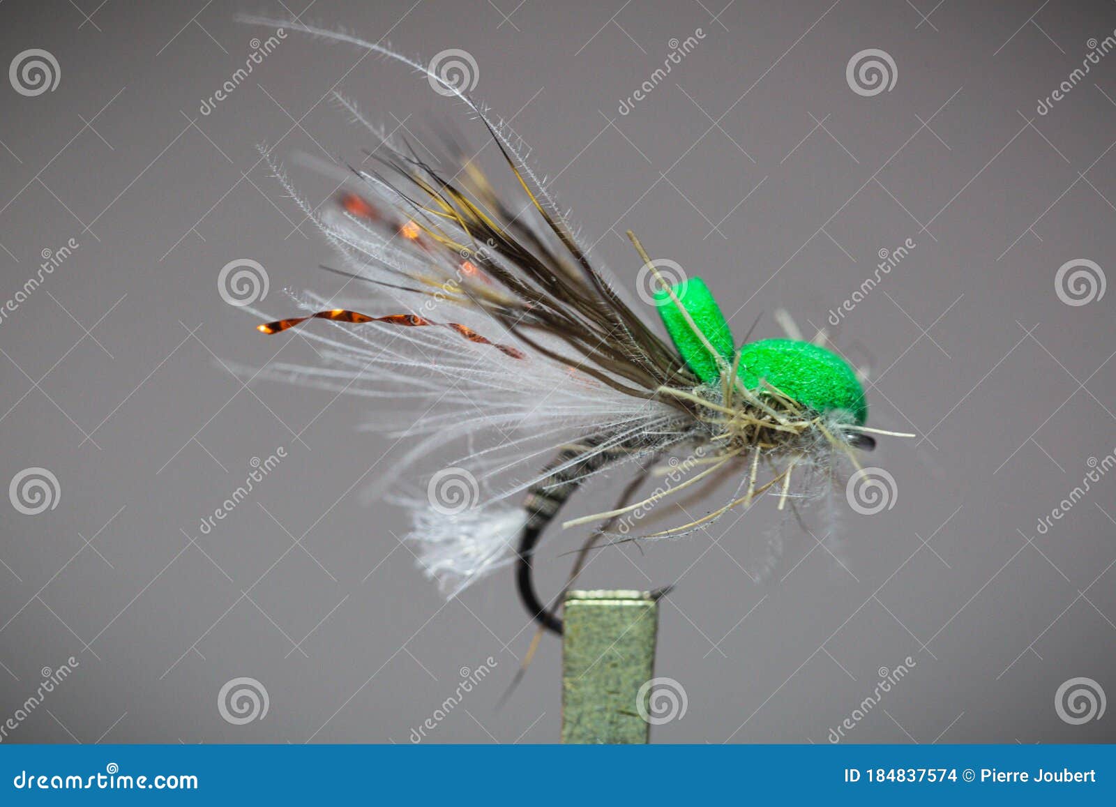 Caddis emerger fly pattern stock photo. Image of brassie 184837574