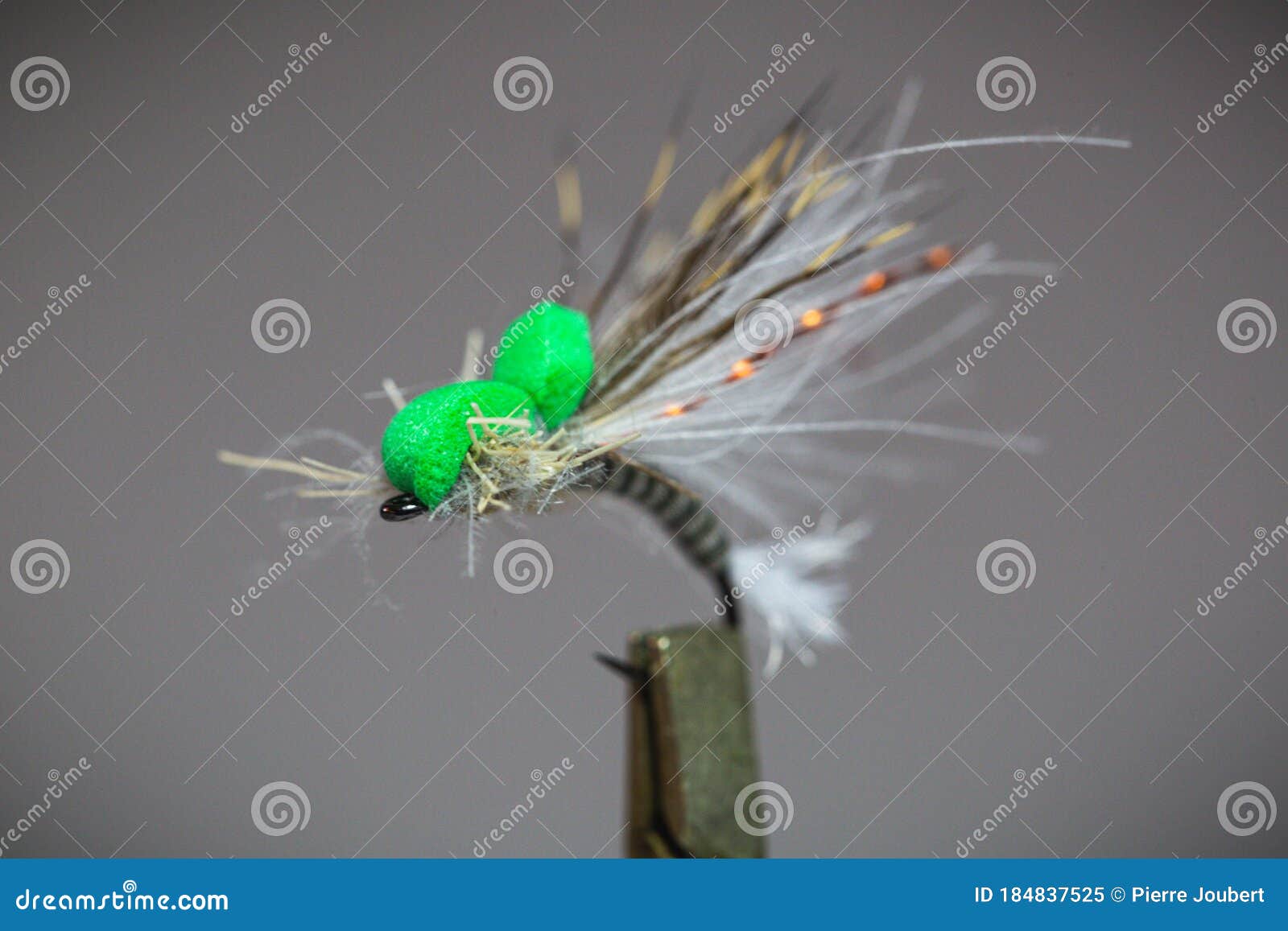 Emerger fly fishing fly stock image. Image of lure, fishing 184837525