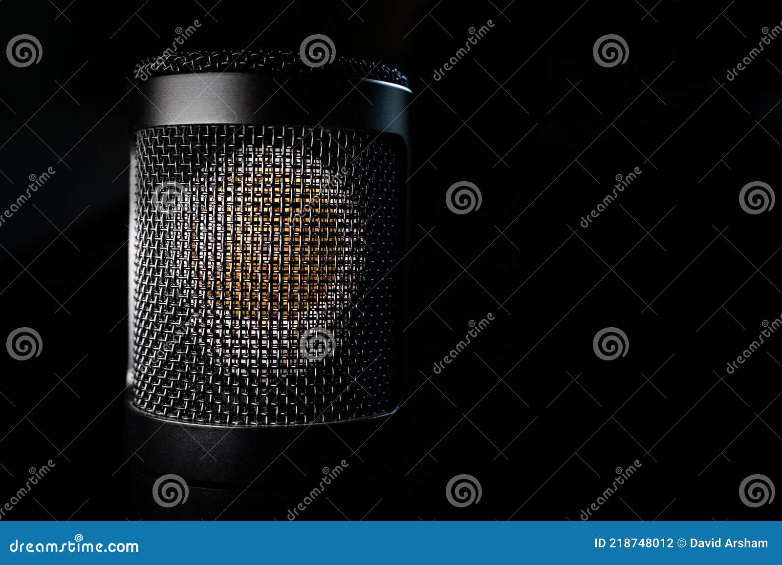 Closeup of Isolated Large Diaphragm Condenser Microphone with Capsule Visible Stock Photo