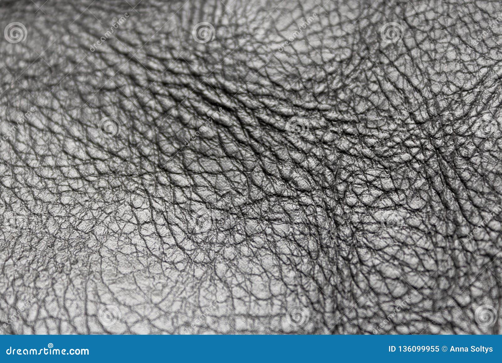 Texture Leather with a Shiny Coating Stock Image Image of coating
