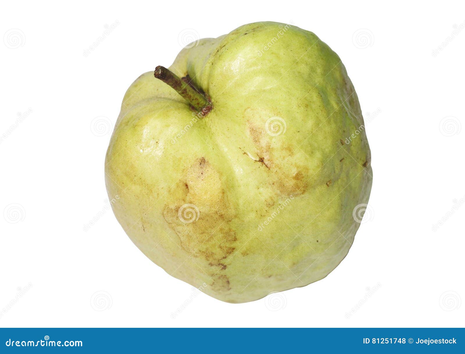 Closeup of Light Green Guava Fruit Stock Photo Image of diet, background 81251748