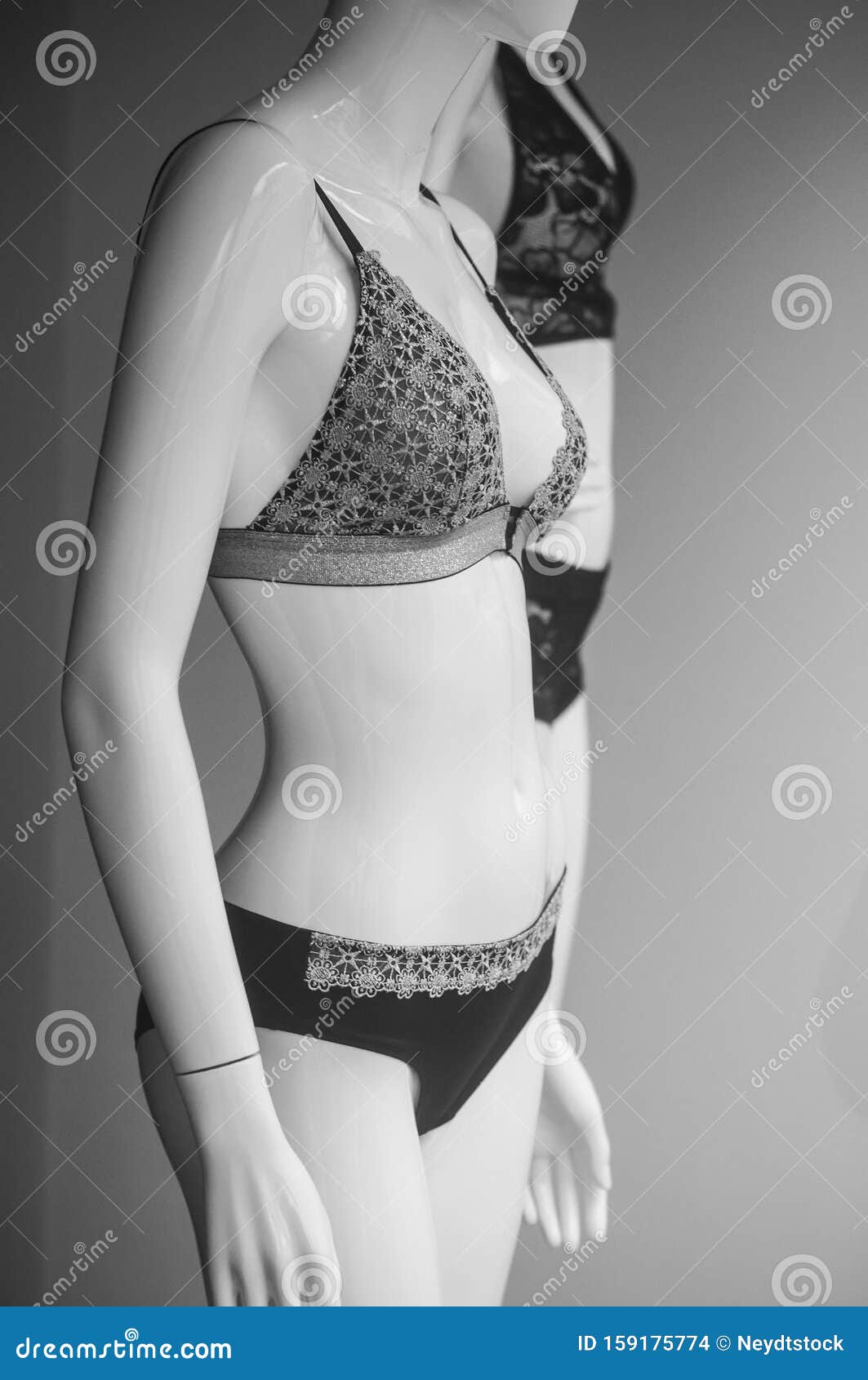 Luxury Underwear on Mannequin in Fashion Store Showroom for Women Stock  Photo - Image of healthy, glamour: 159175774