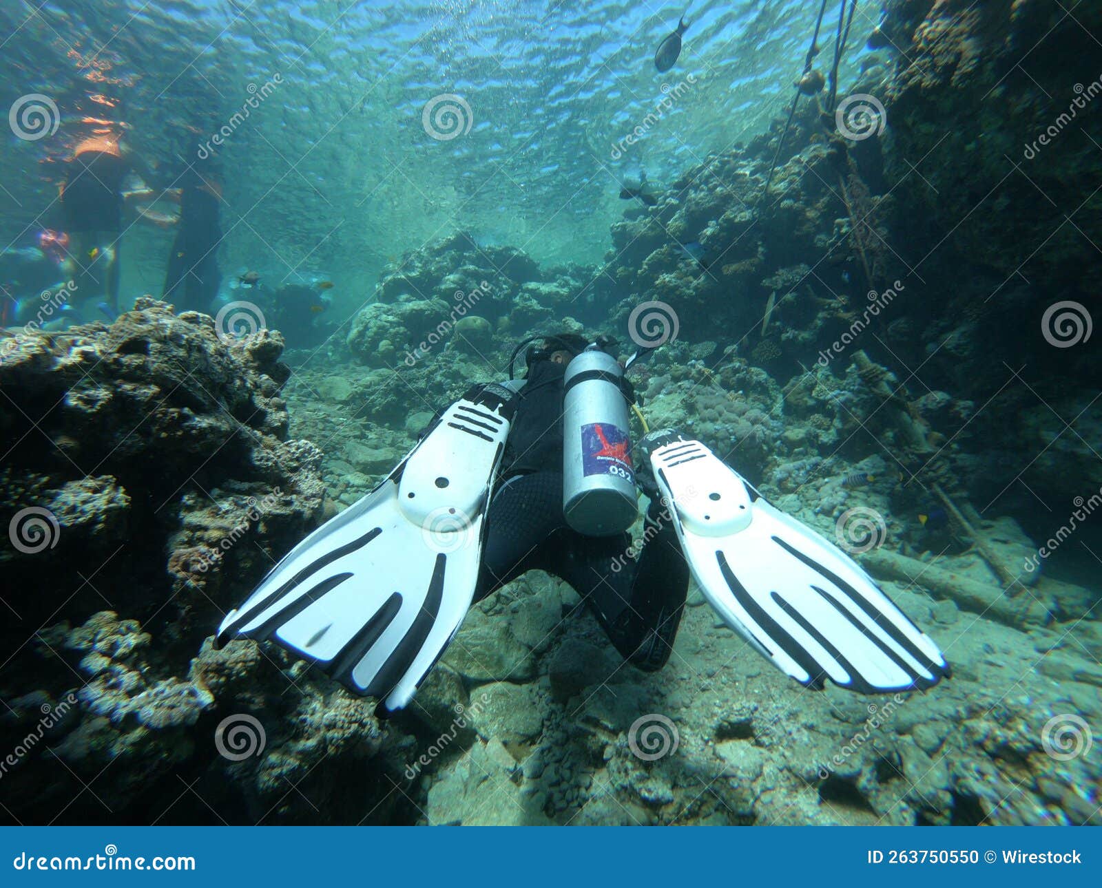 Closeup of a Man in Diving Suit Under the Sea Editorial Image Image