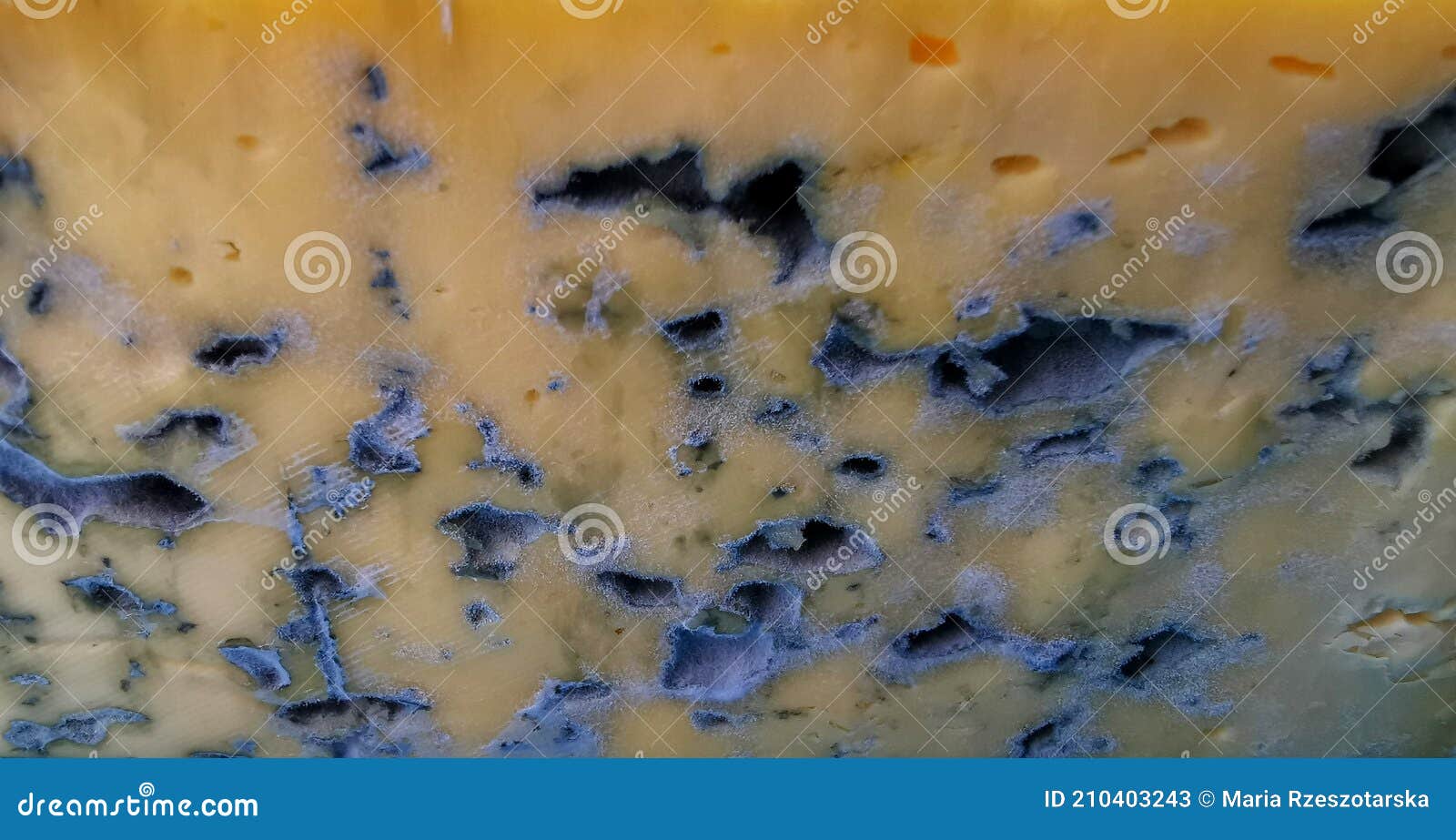 Closeup of moldy cheese. stock image. Image of cream 210403243
