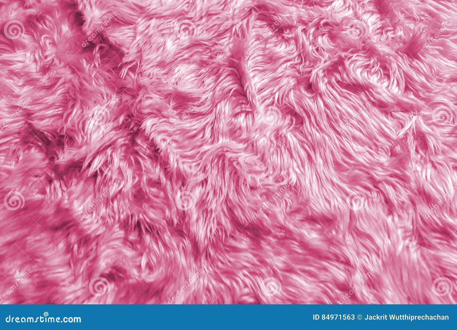 Pink sheepskin pink fur texture stock photo containing fur and textile