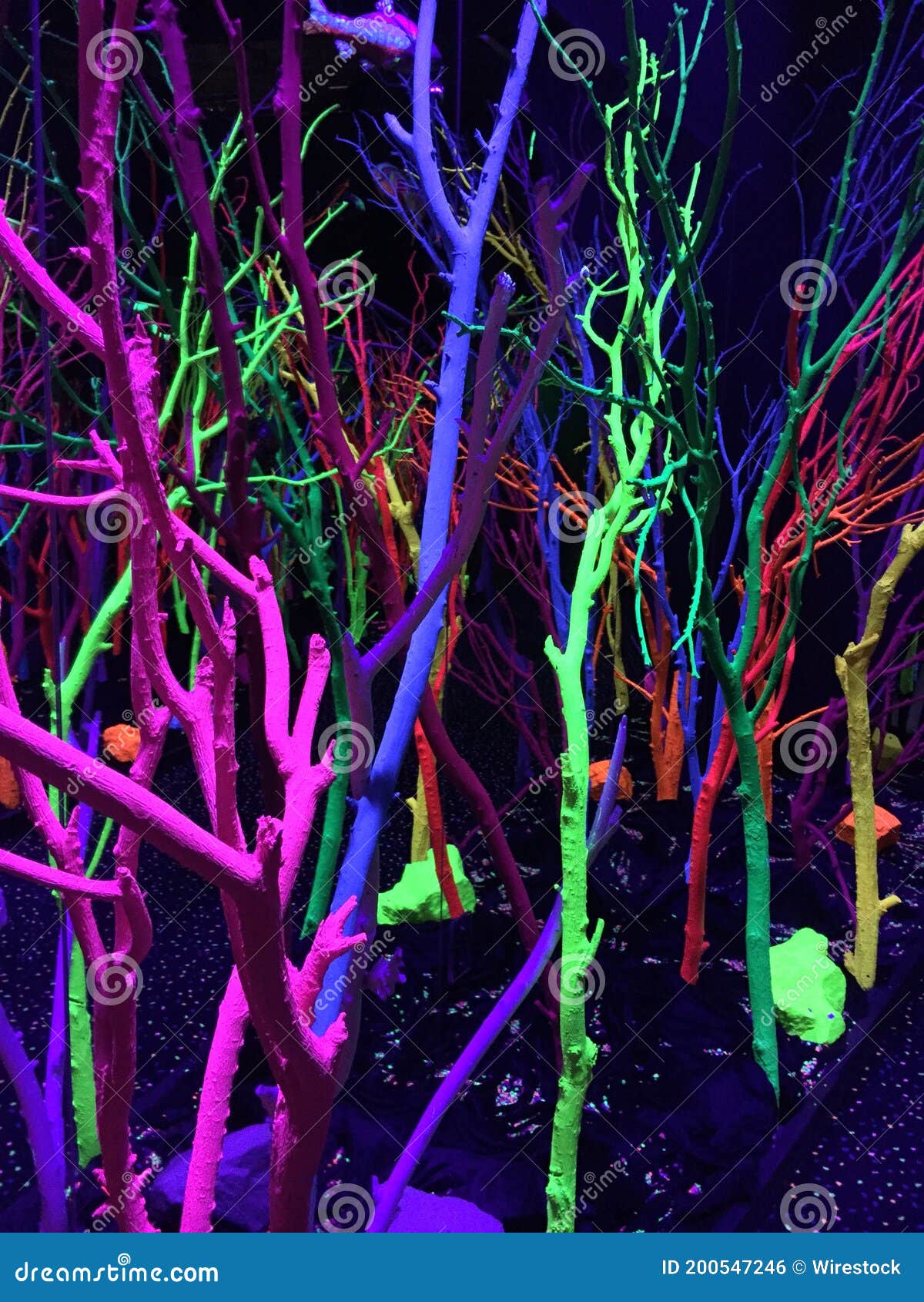 Closeup of Neon Decorations on the Trees, Immersive Art Stock