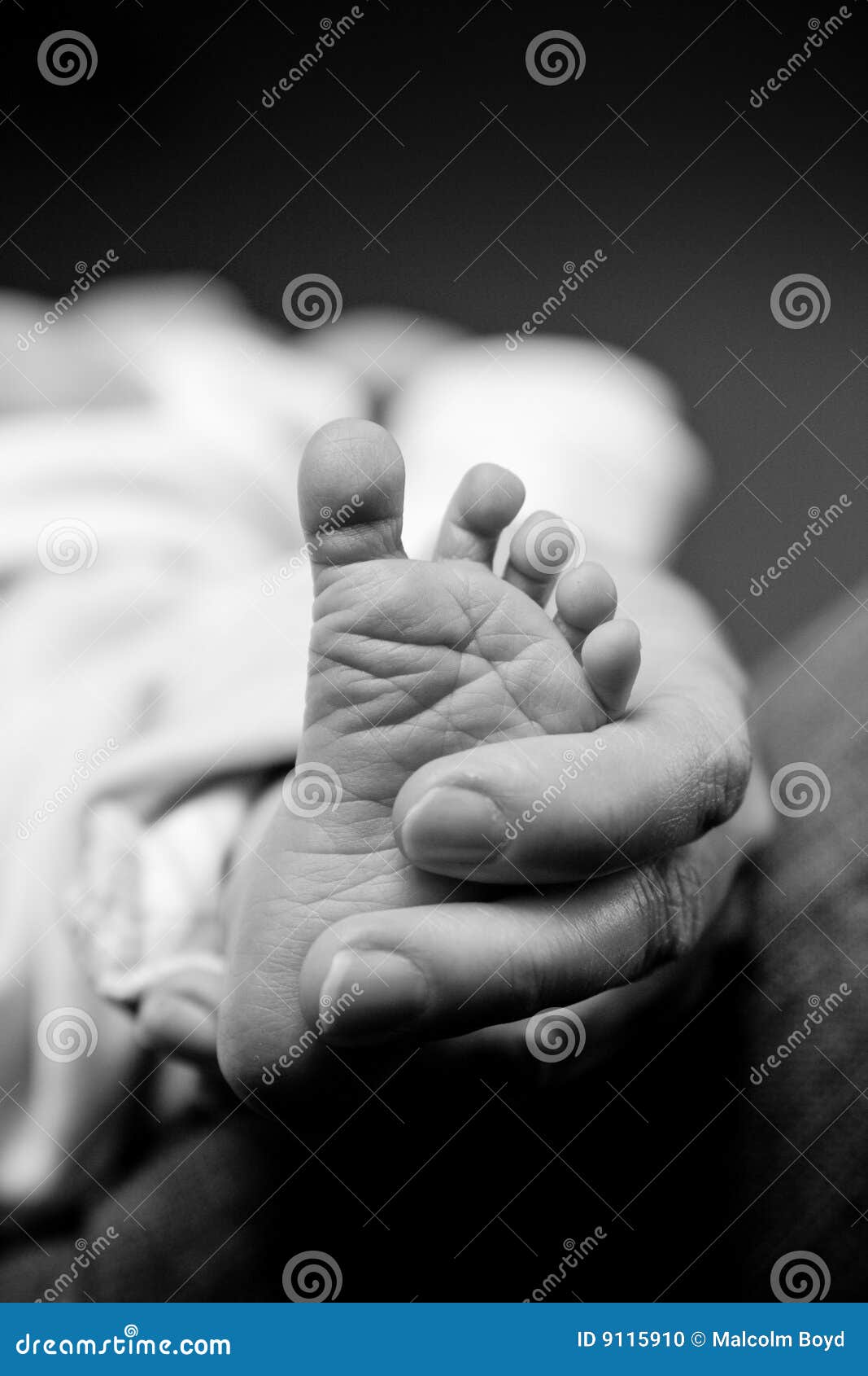 Closeup newborn baby foot stock photo. Image of closeup 9115910