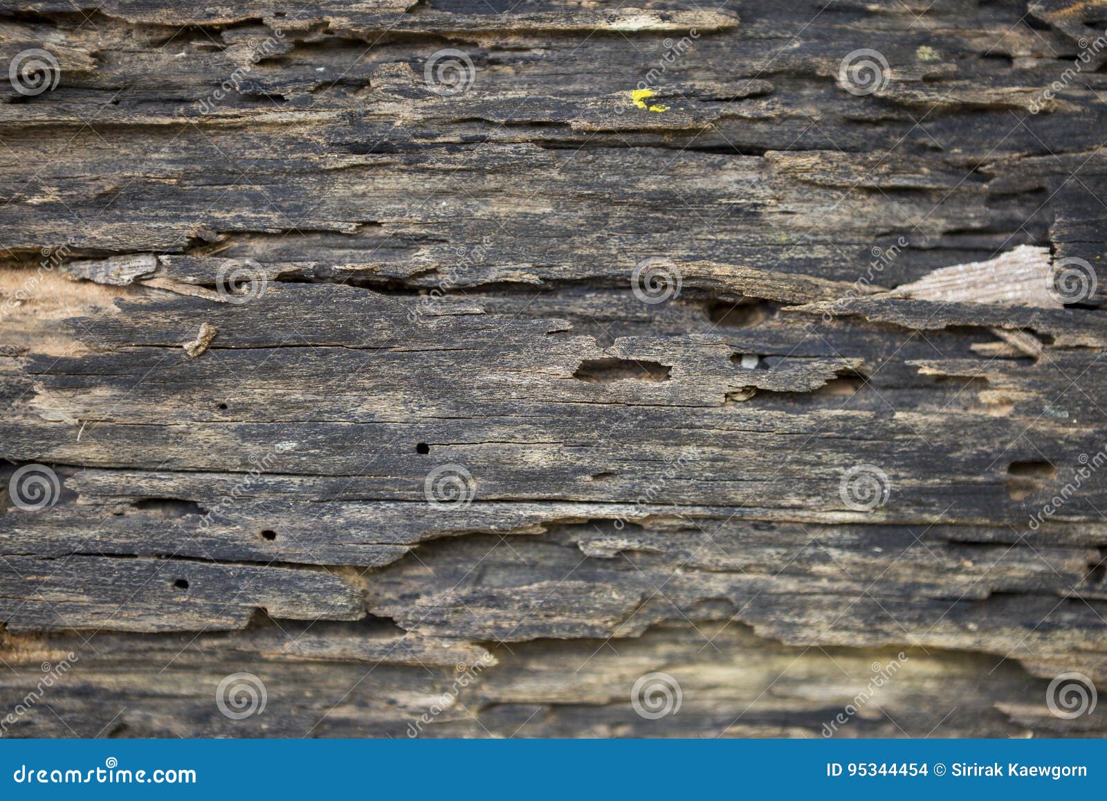 Closeup Old Damage Wood Texture Stock Photo Image of construction