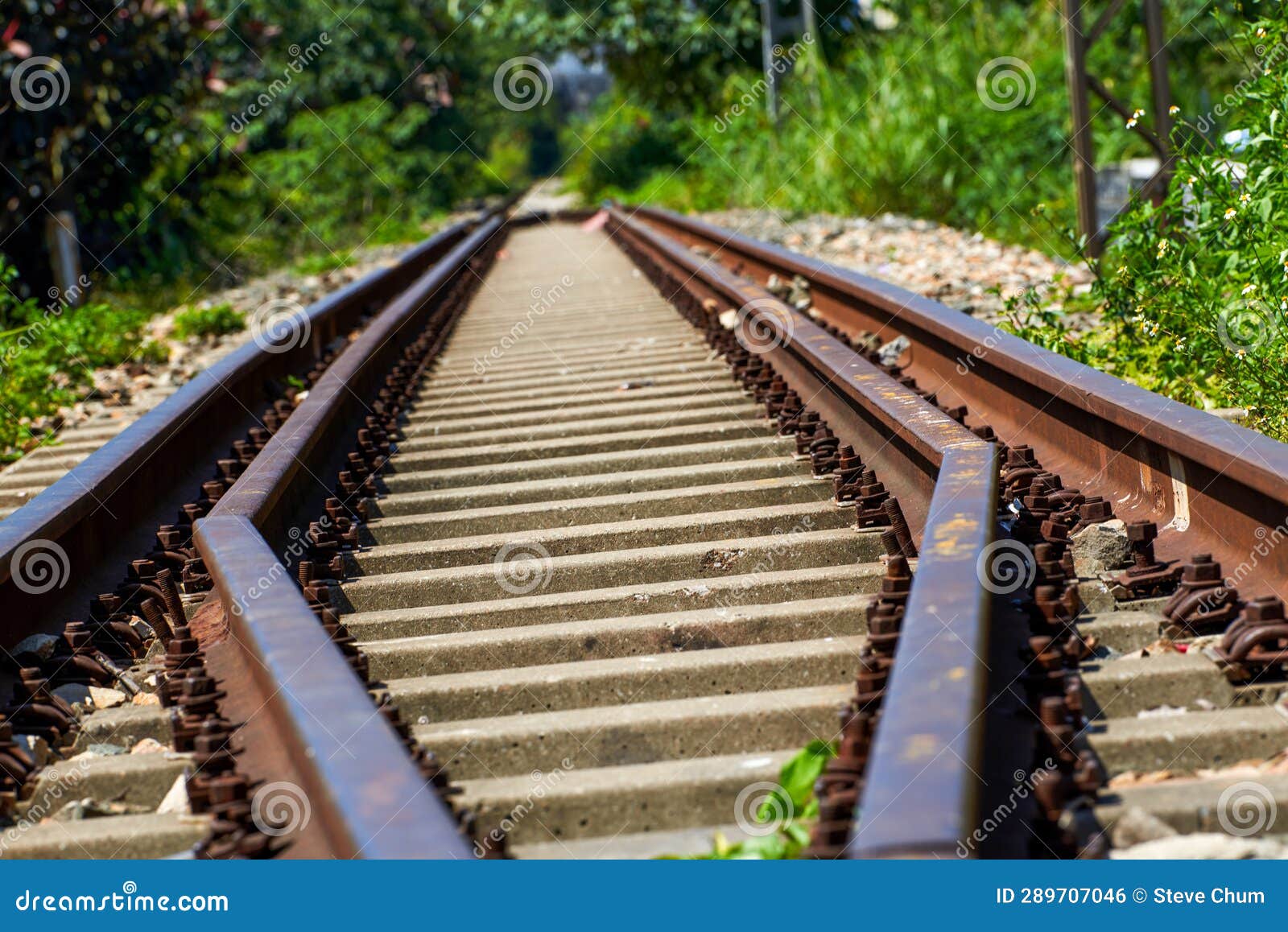 closeup of old rusty railway bifurcated rails and rivets in the wild