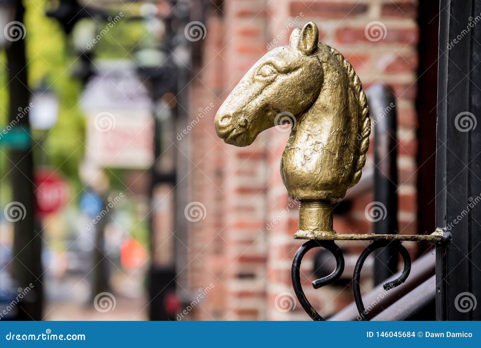 gilded brass horse head ornament in historic downtown alexandria virginia