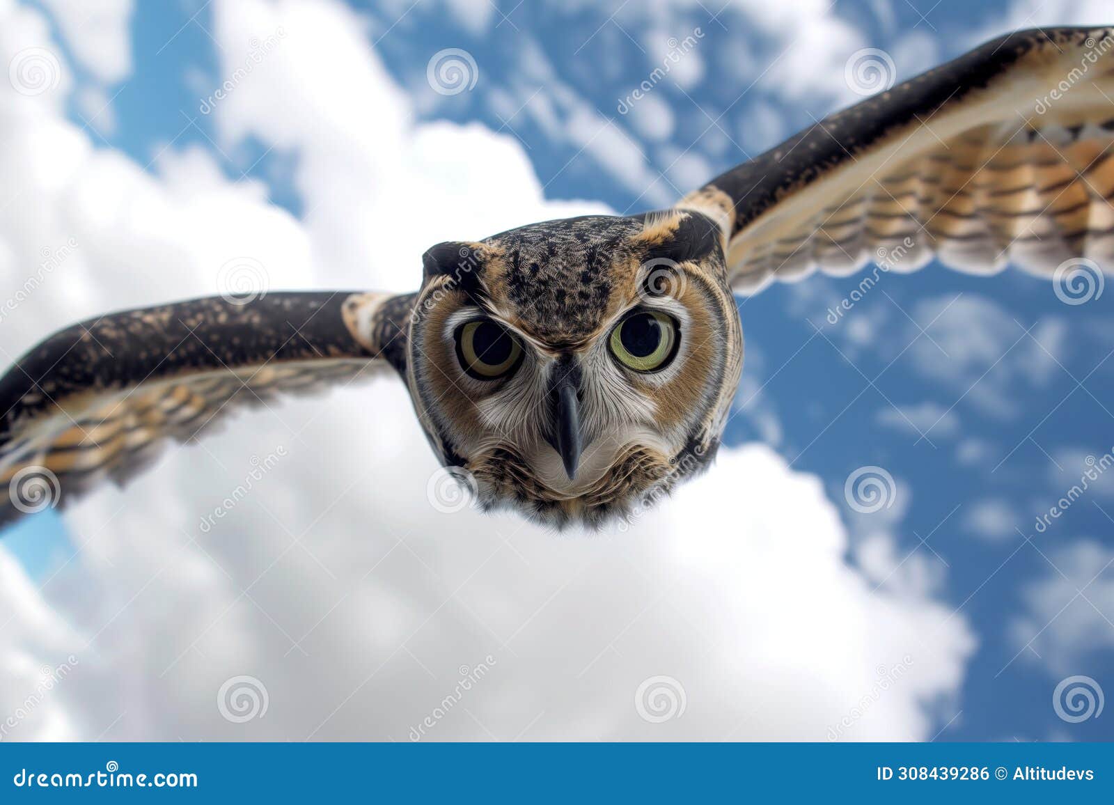 closeup of owl midflight, eyes focused on camera, white clouds backdrop