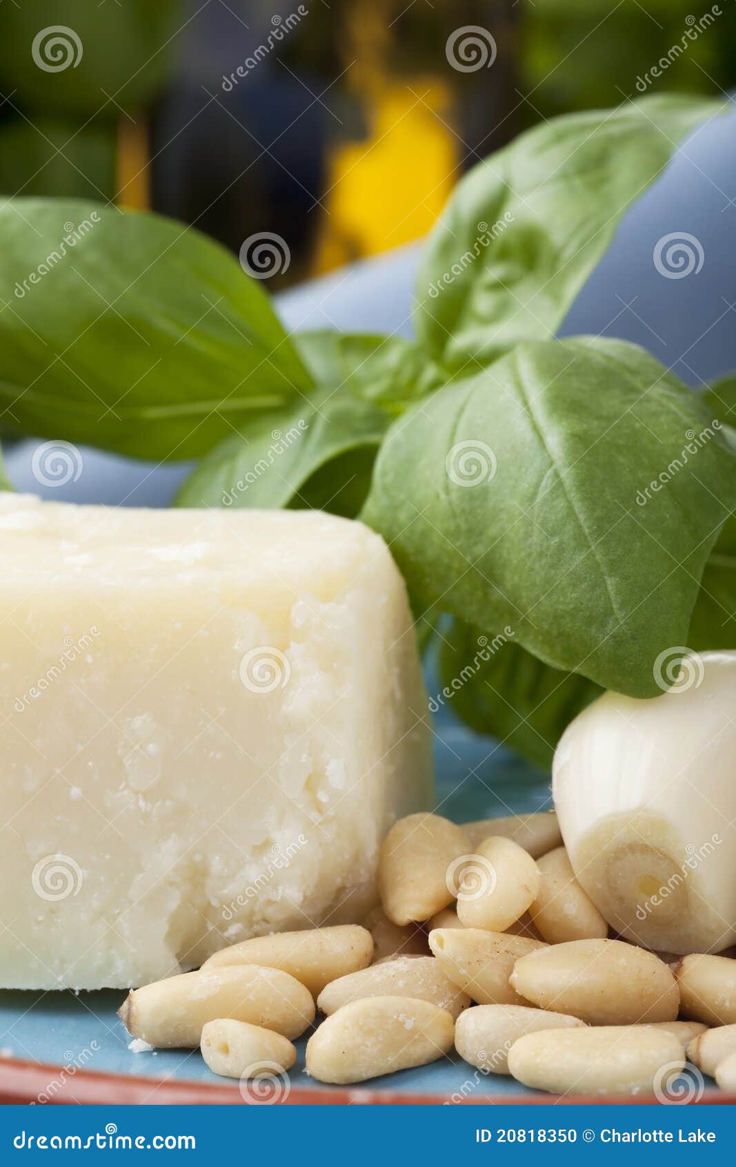 Closeup of Pesto Ingredients Stock Photo Image of pesto, basil 20818350