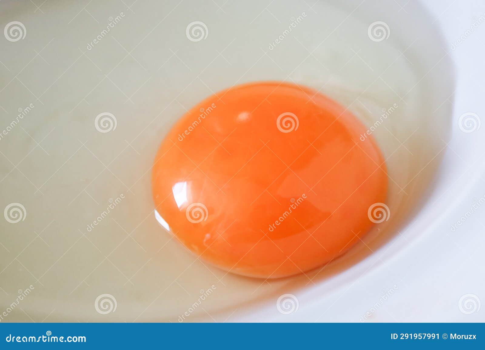 Raw Chicken Egg, Close Up Picture Stock Image Image of closeup