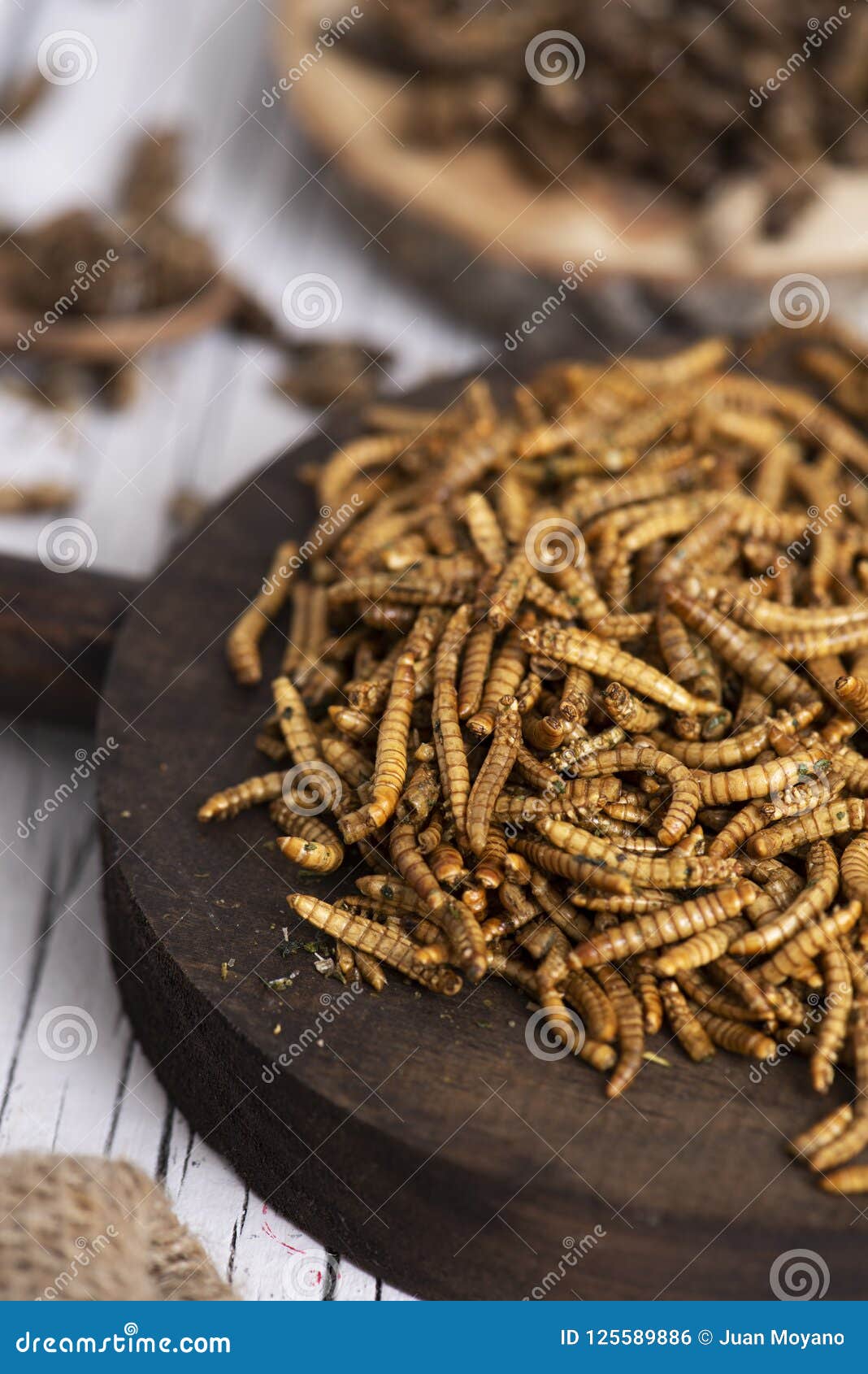 Edible Fried Worms and Crickets Stock Photo - Image of herbs, bugs:  125589886