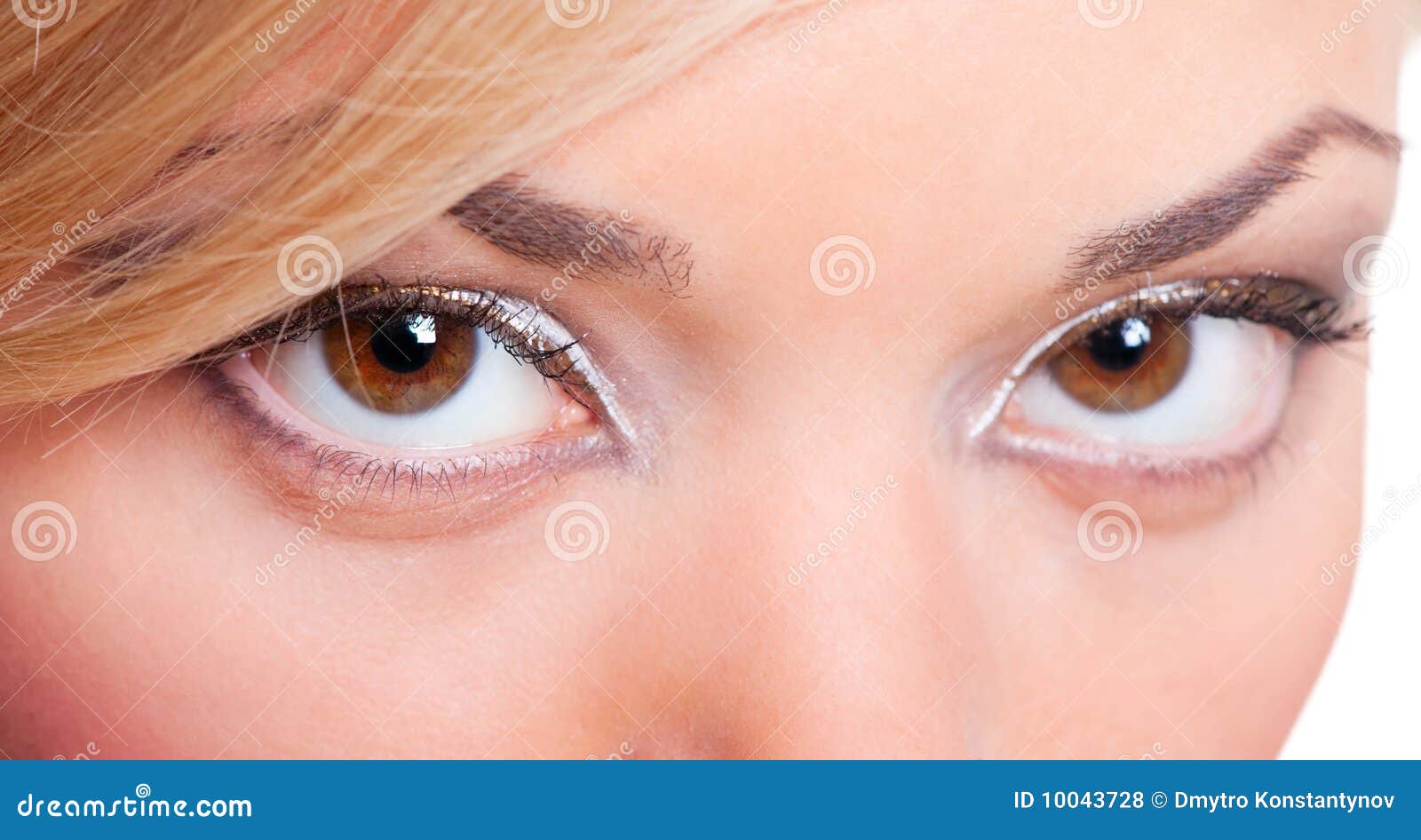 Closeup Portrait of Feminine Eyes Stock Photo Image of elegant