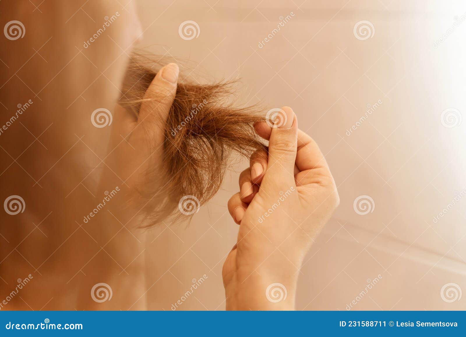 closeup portrait of woman hands holding dry damaged hair eds, having trichology problem