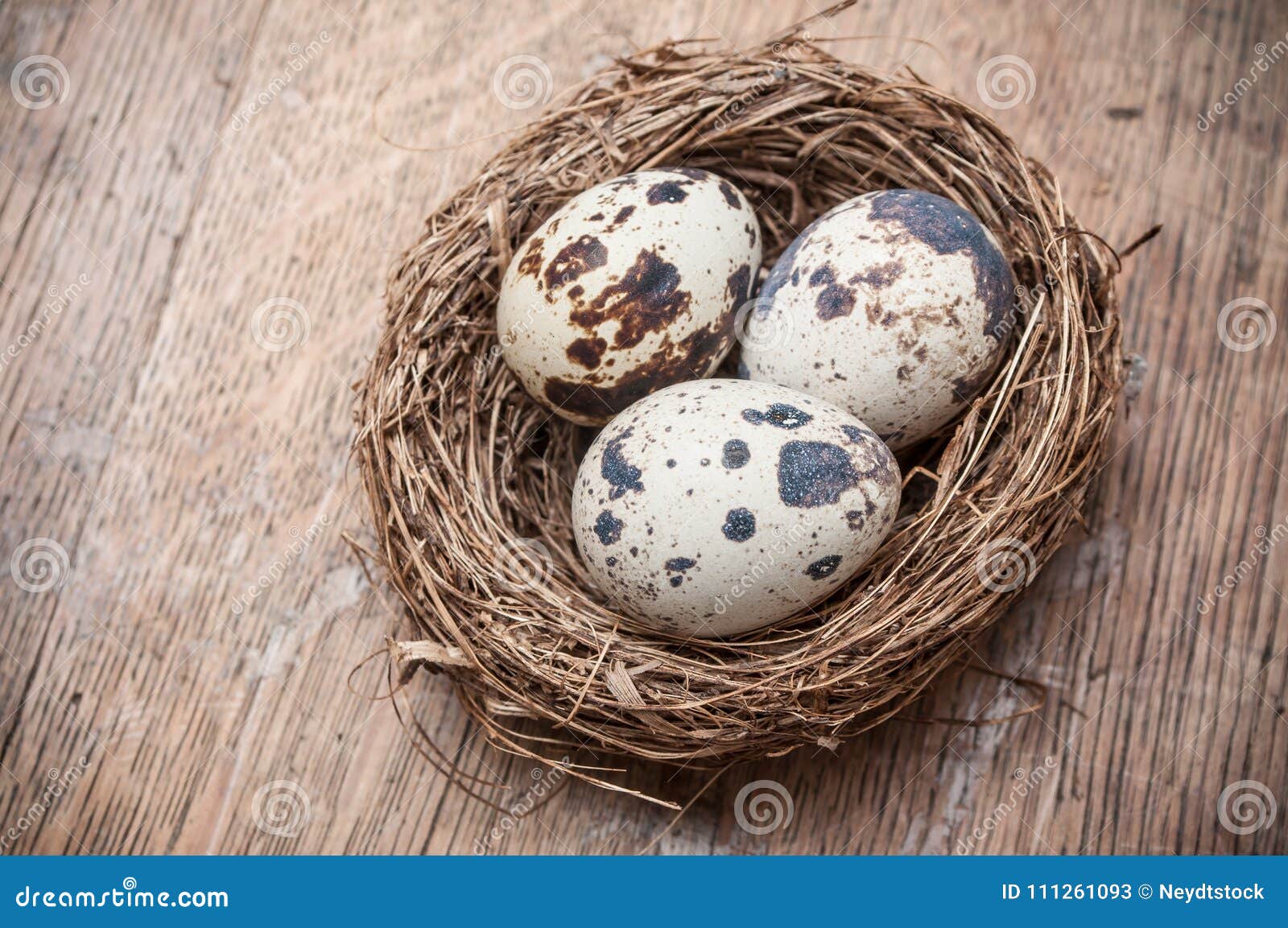 quail eggs in nest top vieuw on wooden table backgrou