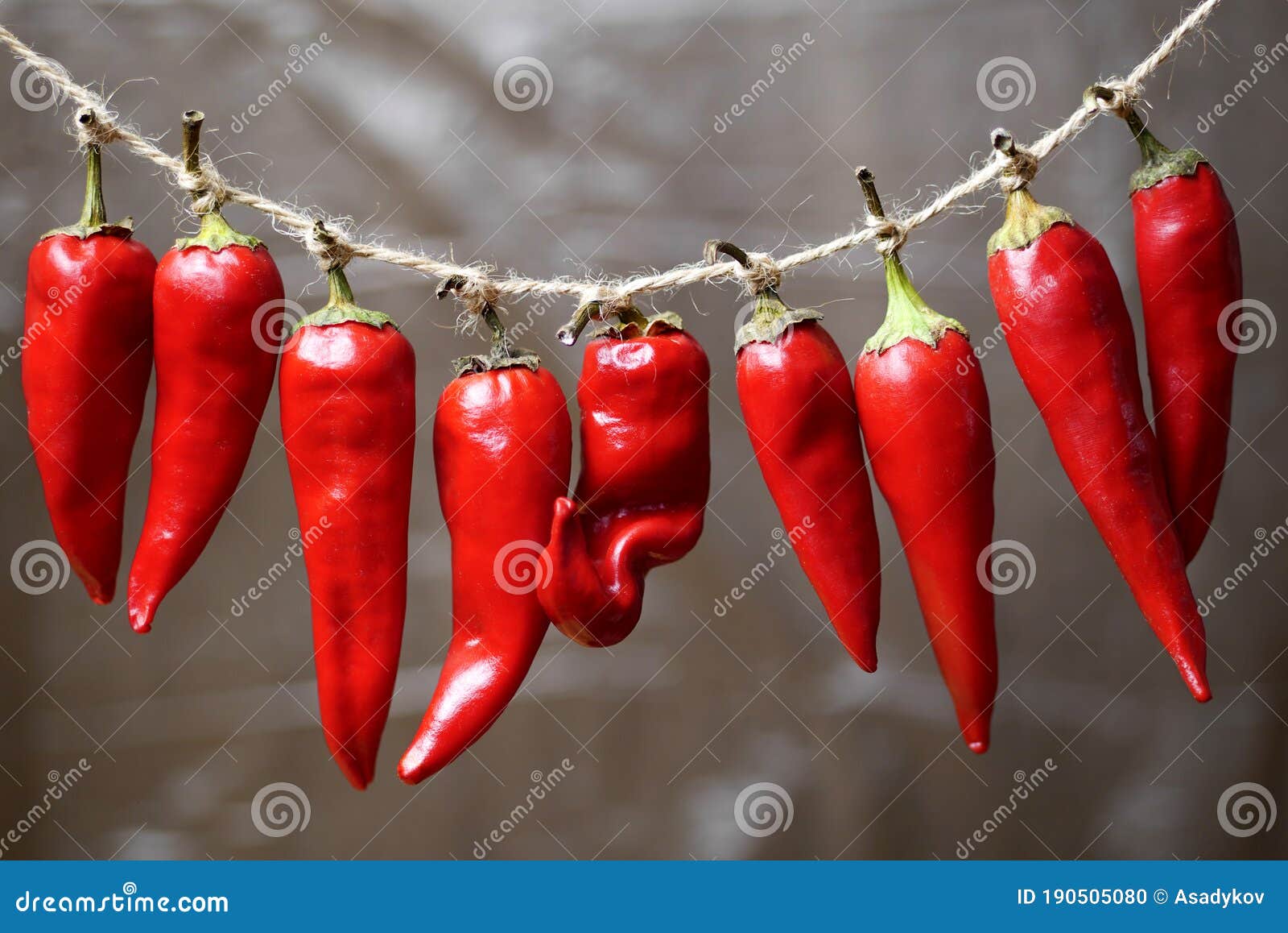 Red Chili Peppers Hanging on a Rope Stock Photo Image of indian, food