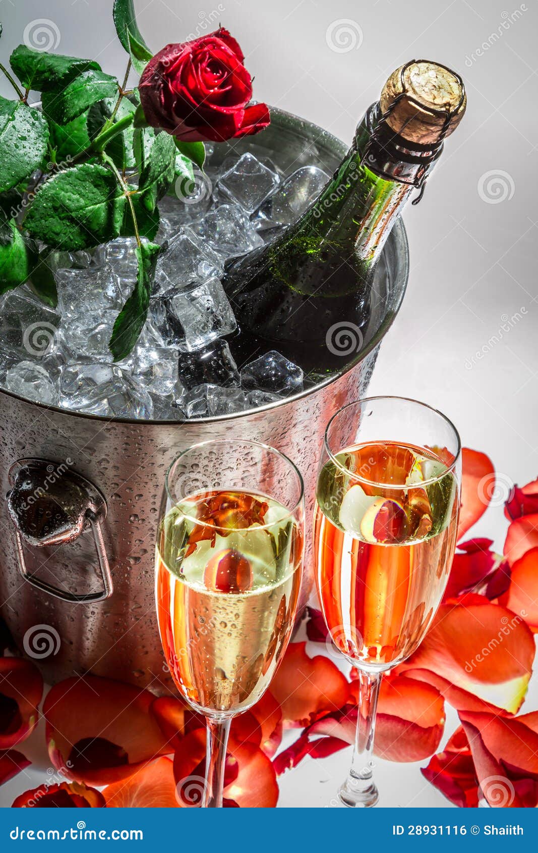 Closeup of Red Rose and Cold Champagne for Celebration Stock Photo Image of holiday
